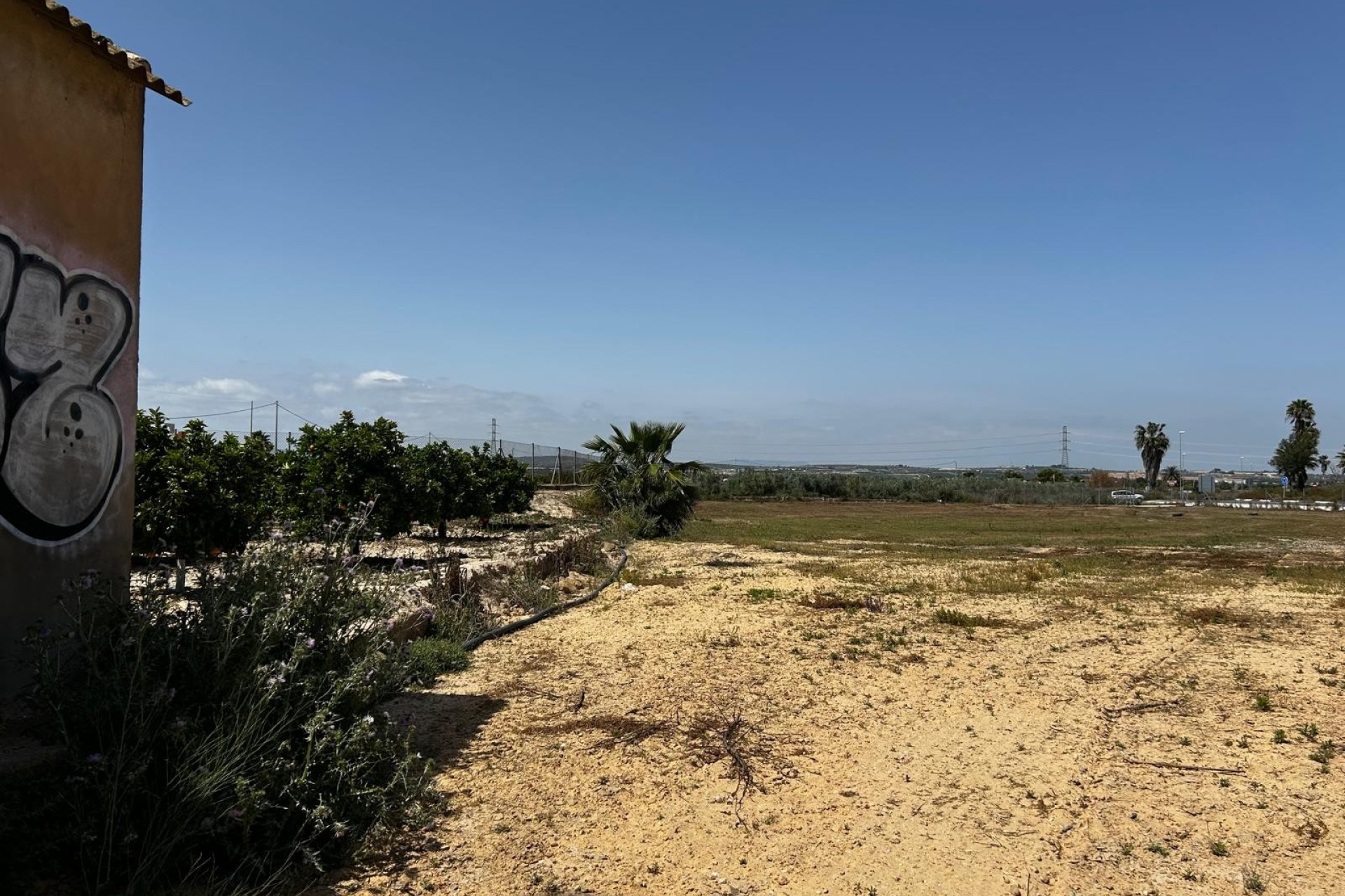 Resale - Building Plot - San Miguel de Salinas - Costa Blanca South