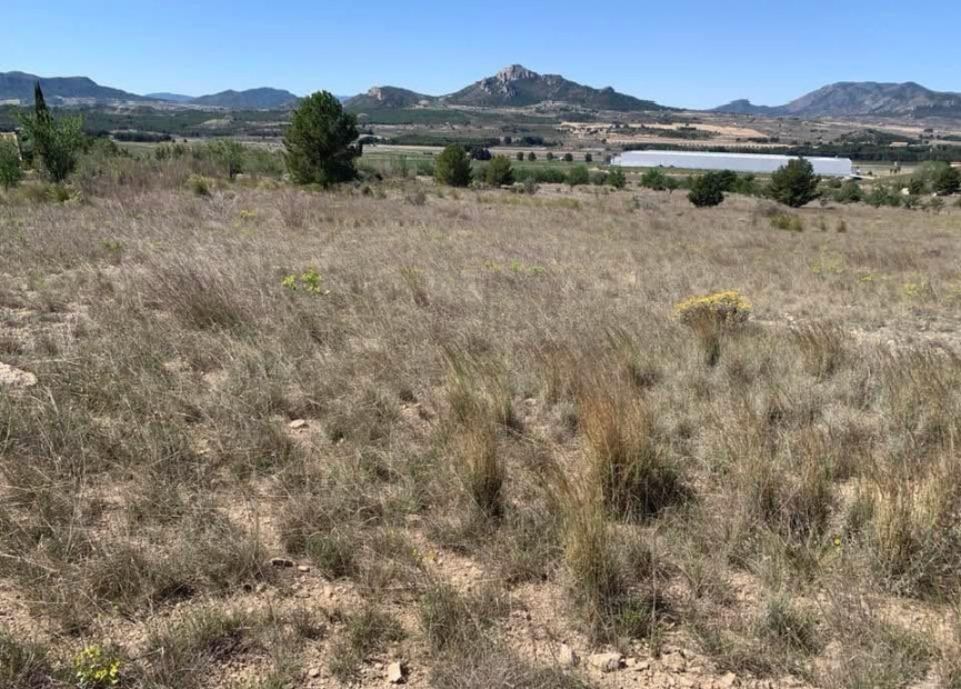 Resale - Building Plot - Sax - Costa Blanca North