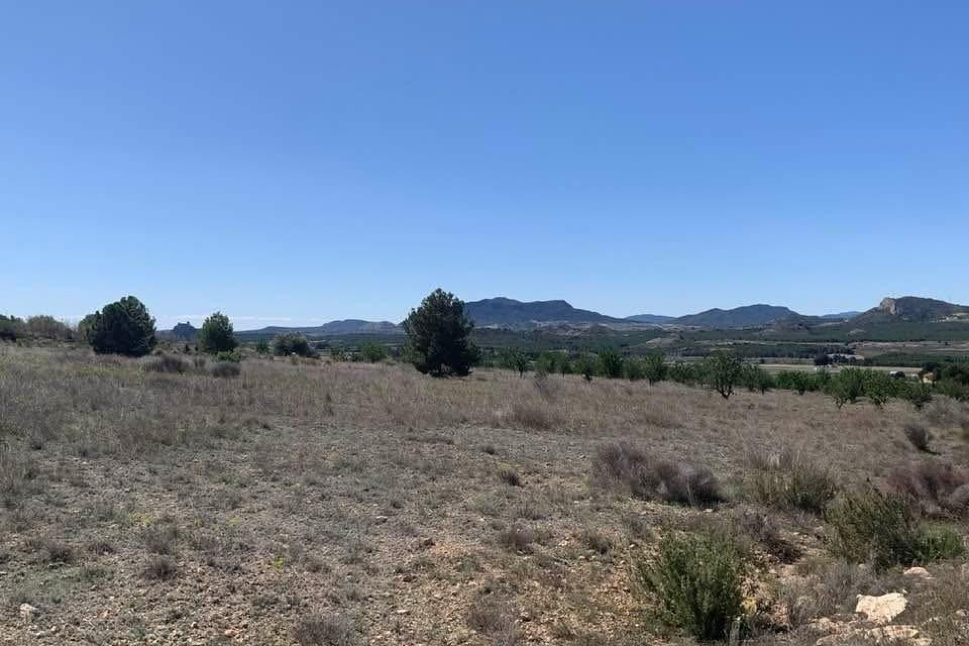 Resale - Building Plot - Sax - Costa Blanca North