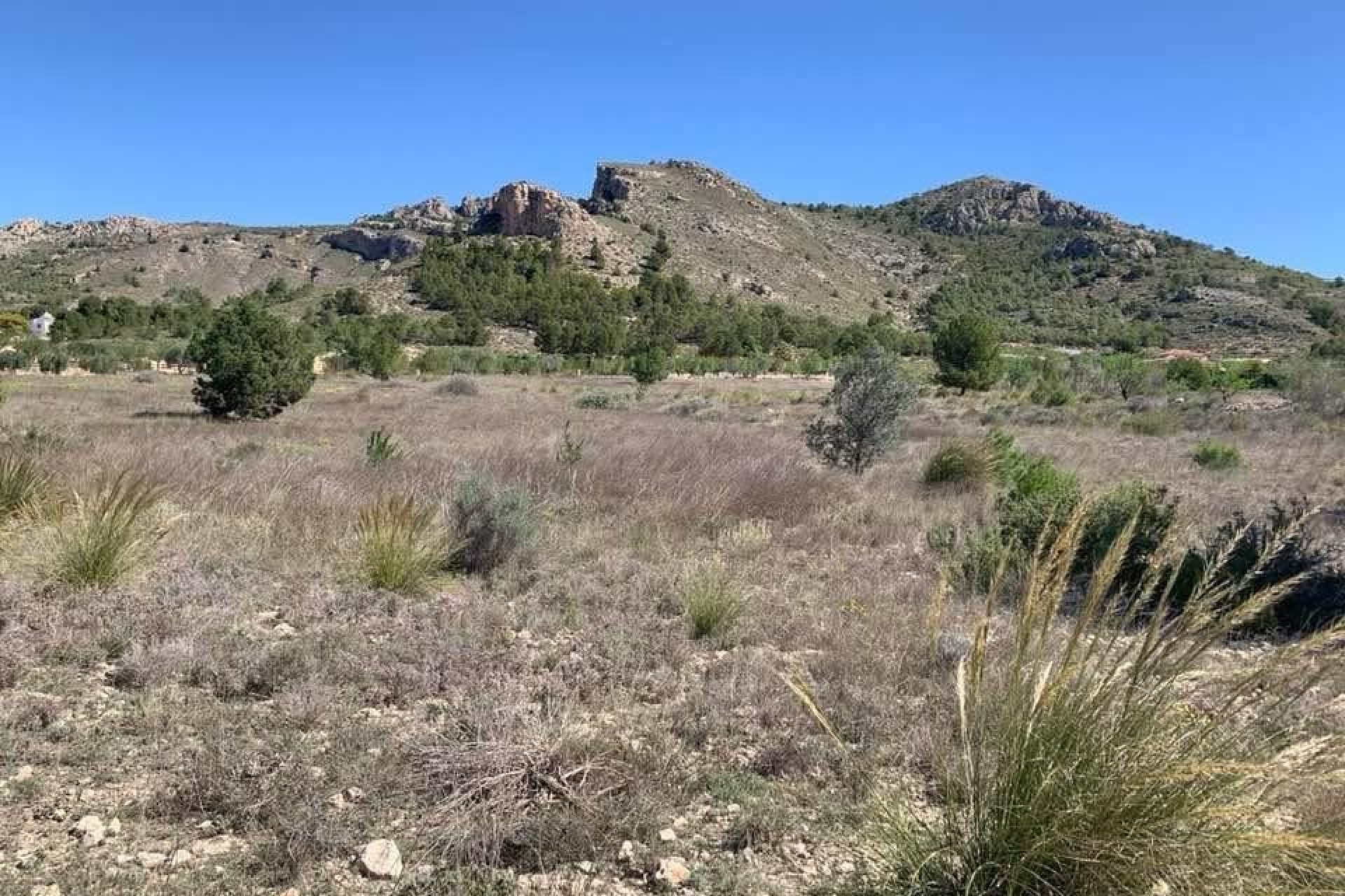 Resale - Building Plot - Sax - Costa Blanca North