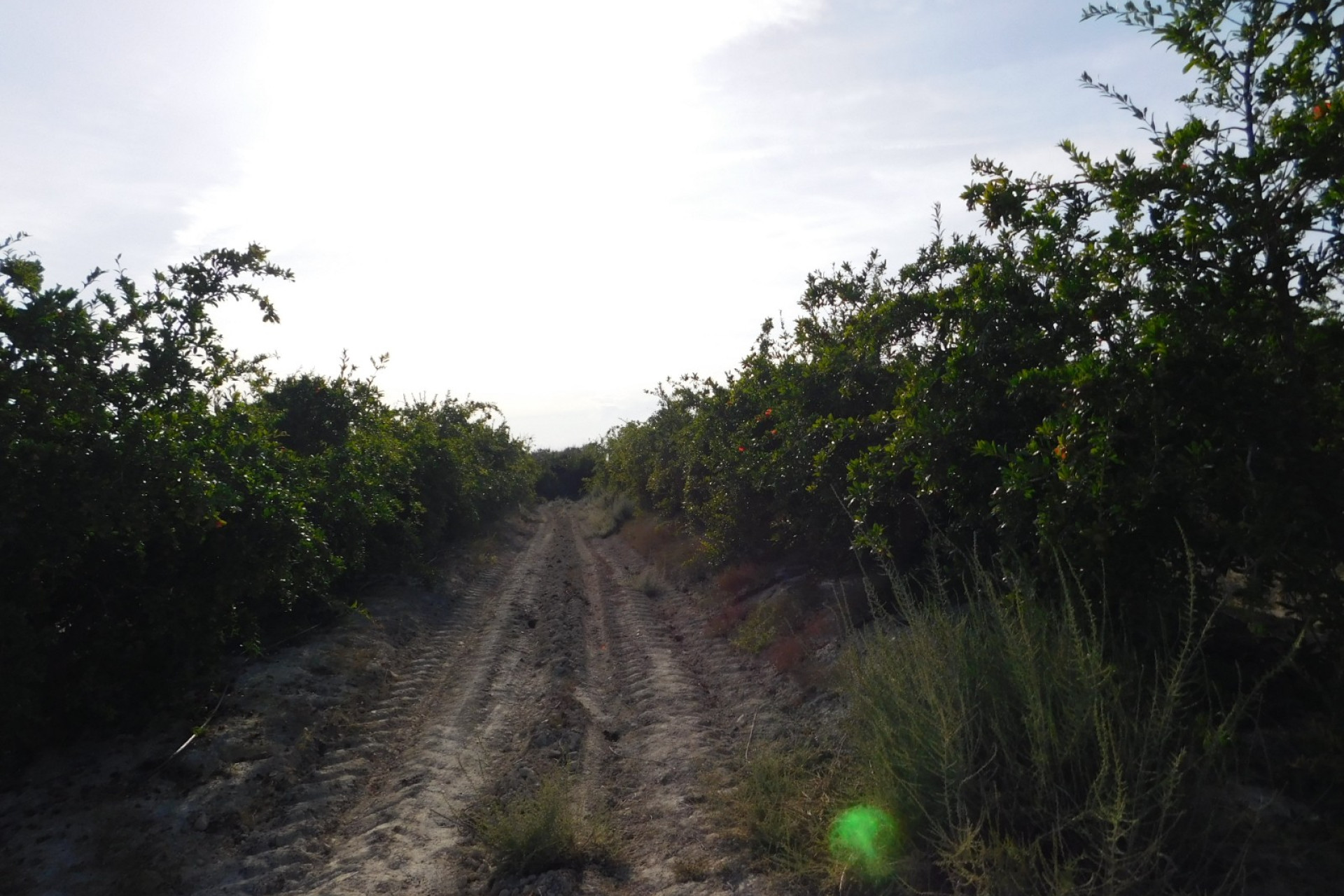 Resale - Building Plot - Torremendo - Costa Blanca South