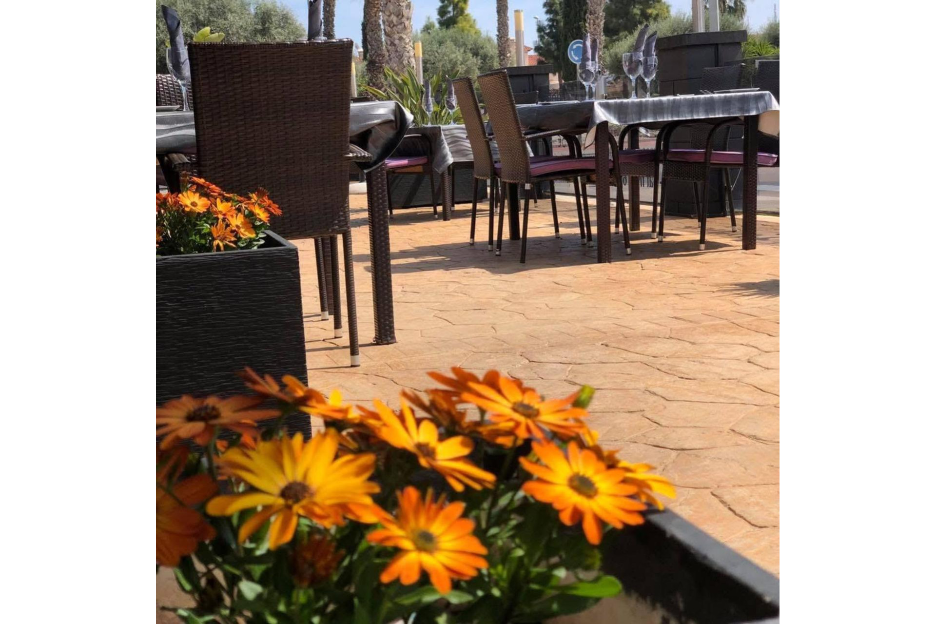 Resale - Commercial property - Guardamar del Segura - Costa Blanca South