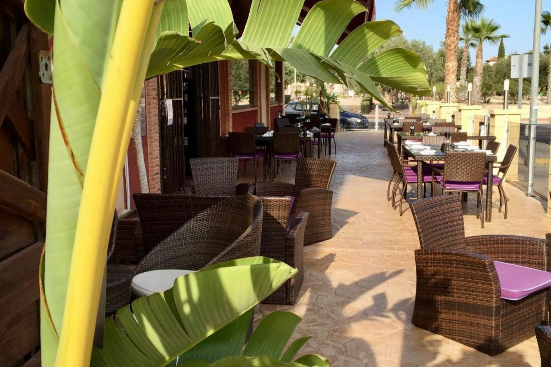 Resale - Commercial property - Guardamar del Segura - Costa Blanca South