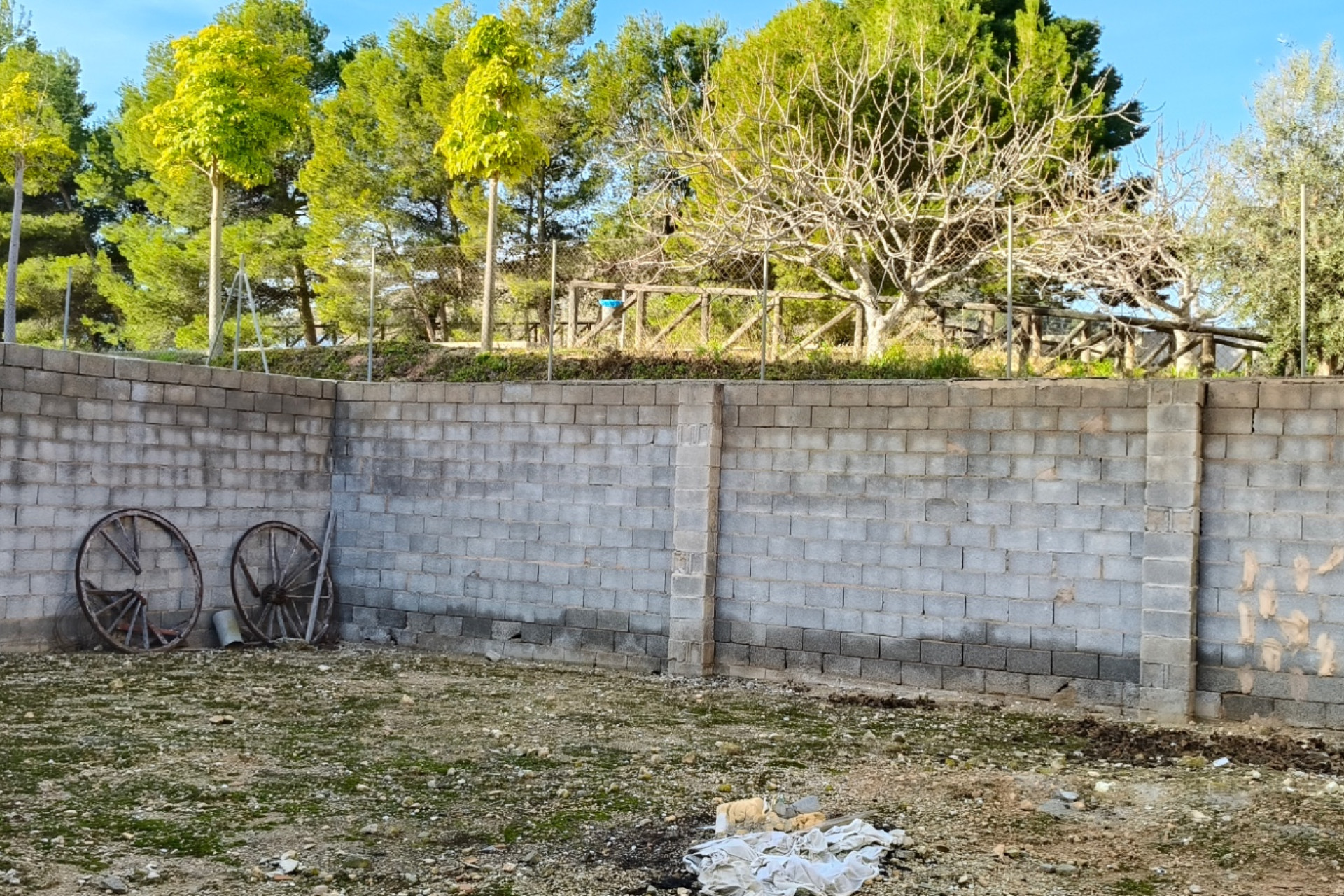 Resale - Commercial property - La Romana - Costa Blanca South