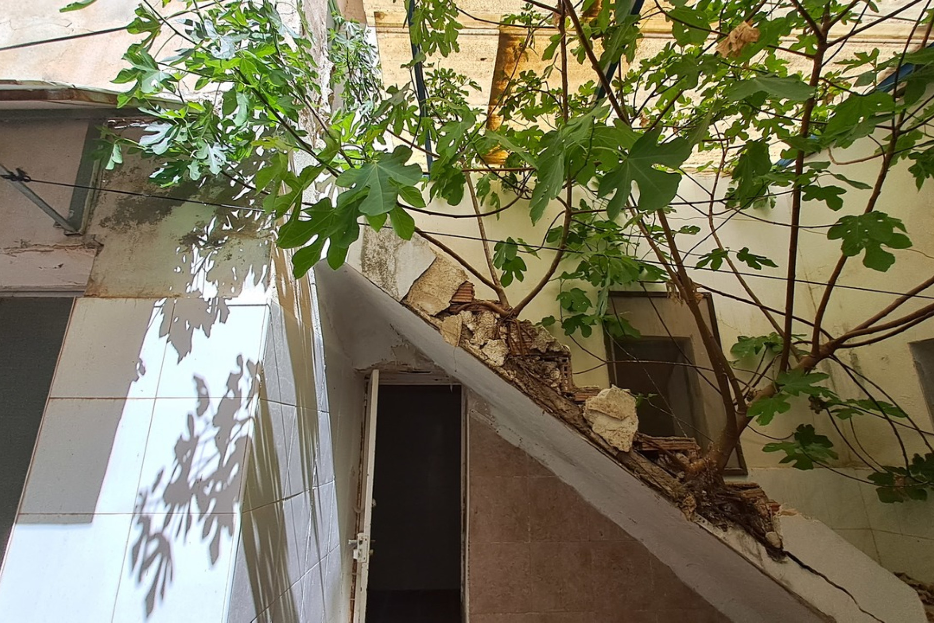 Resale - Commercial property - Orihuela - Costa Blanca South