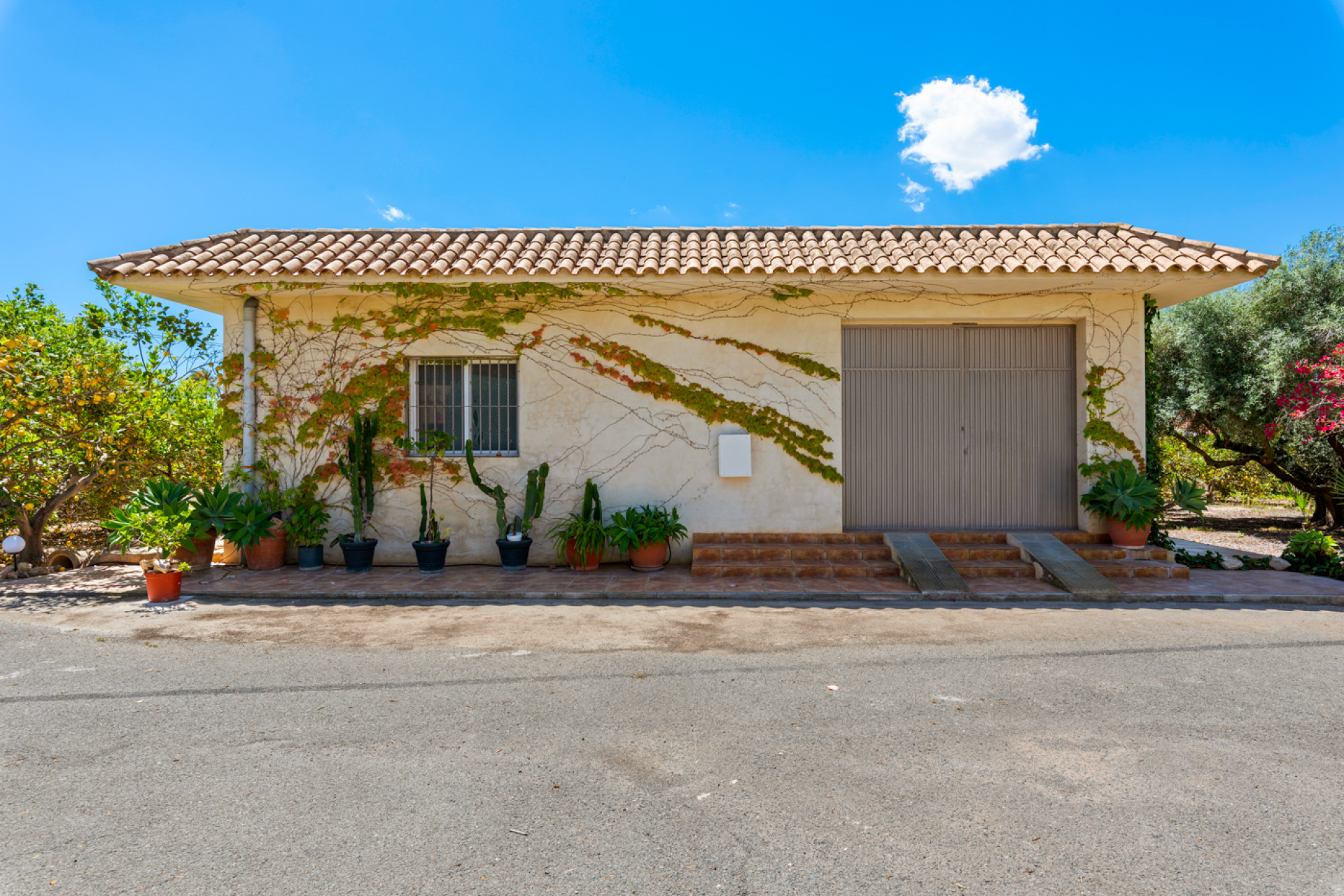 Resale - Country Property - Elche - Elche/Elx