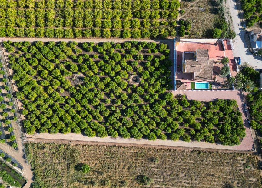 Resale - Finca - Country Property - Orihuela - Costa Blanca South