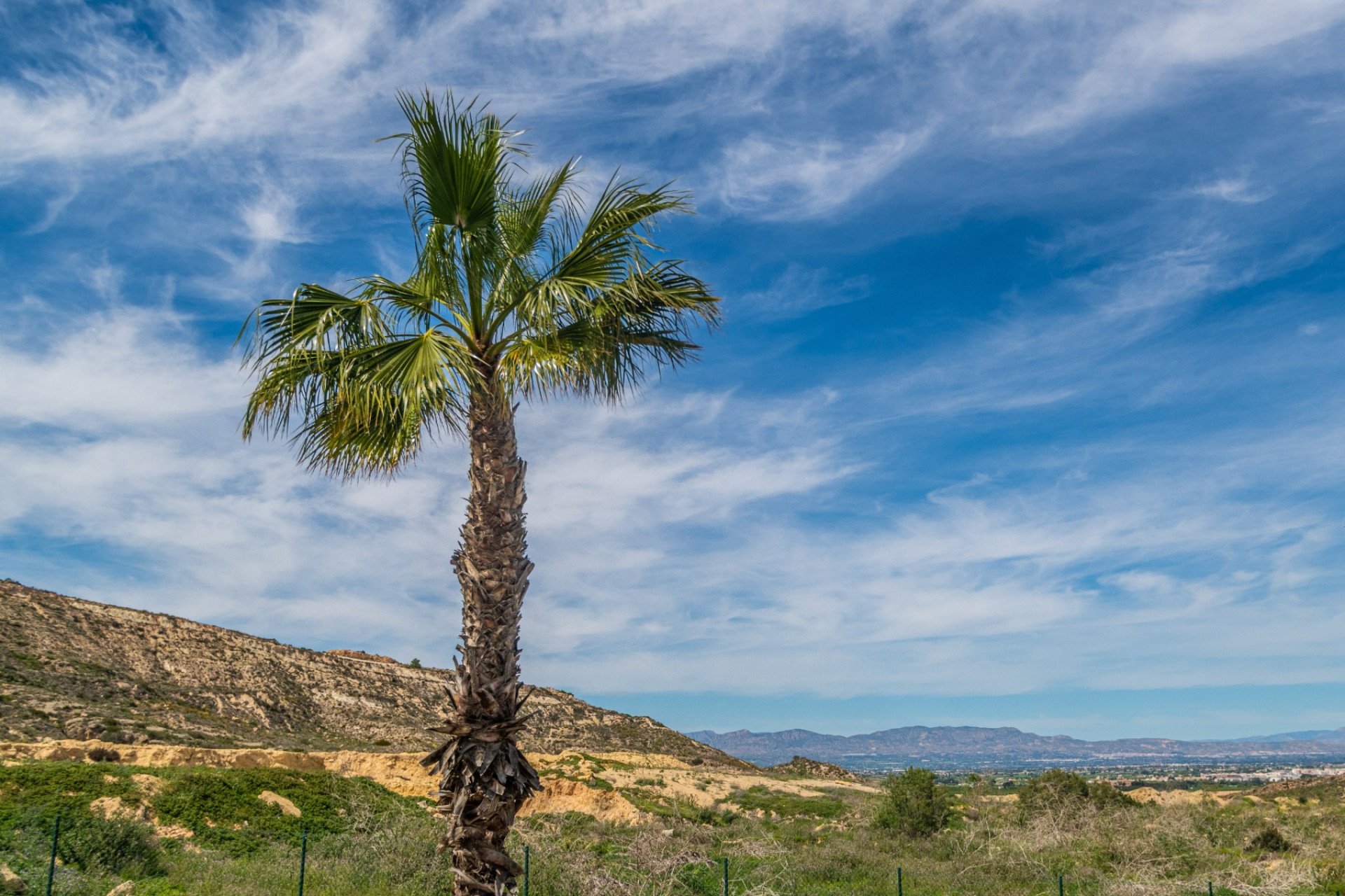 Reventa - 1. Apartamento / piso - Algorfa - Costa Blanca Sur