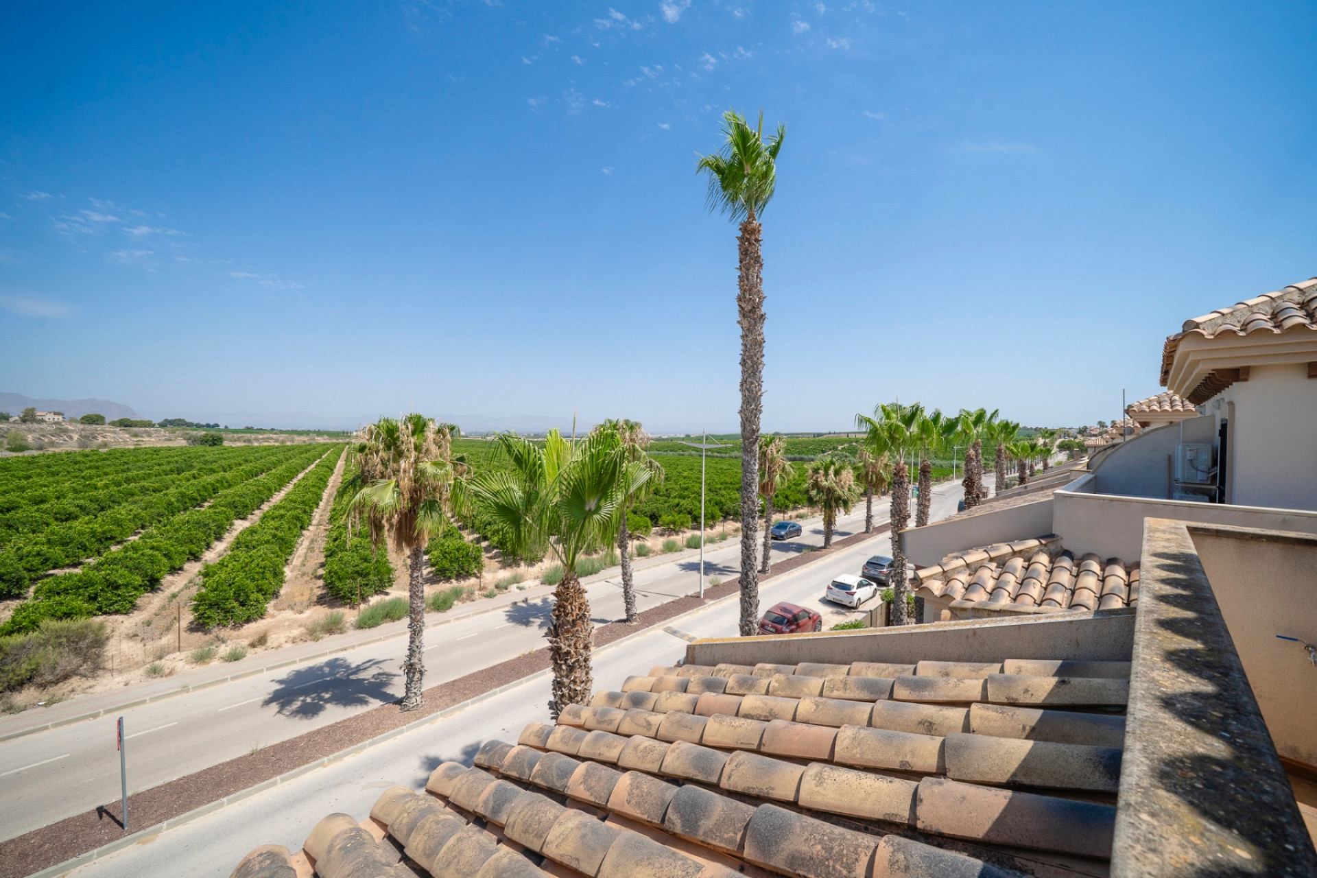 Reventa - 1. Apartamento / piso - Algorfa - Costa Blanca Sur