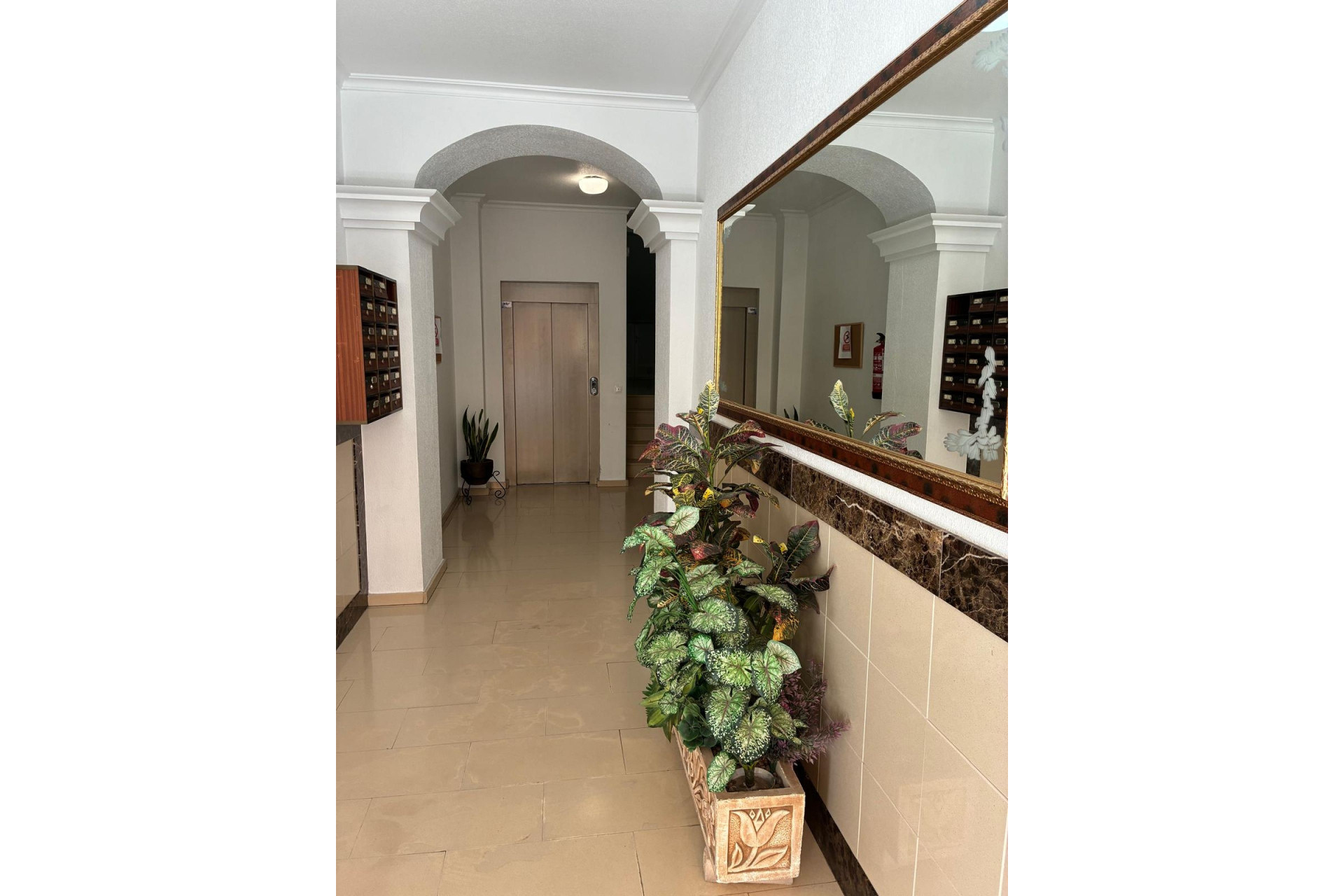 Reventa - 1. Apartamento / piso - Almoradí - Costa Blanca Sur