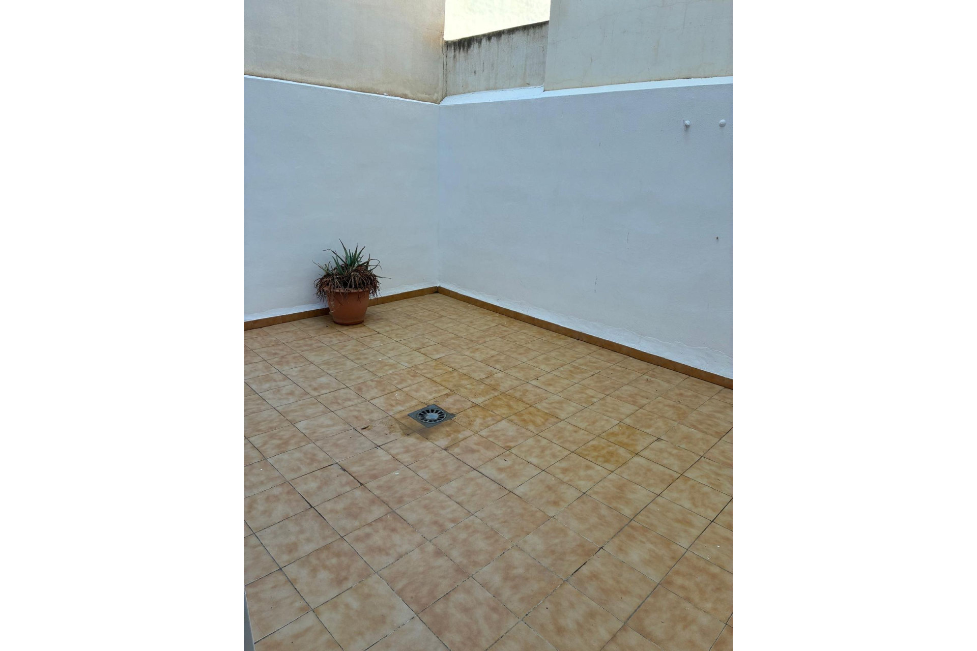 Reventa - 1. Apartamento / piso - Almoradí - Costa Blanca Sur