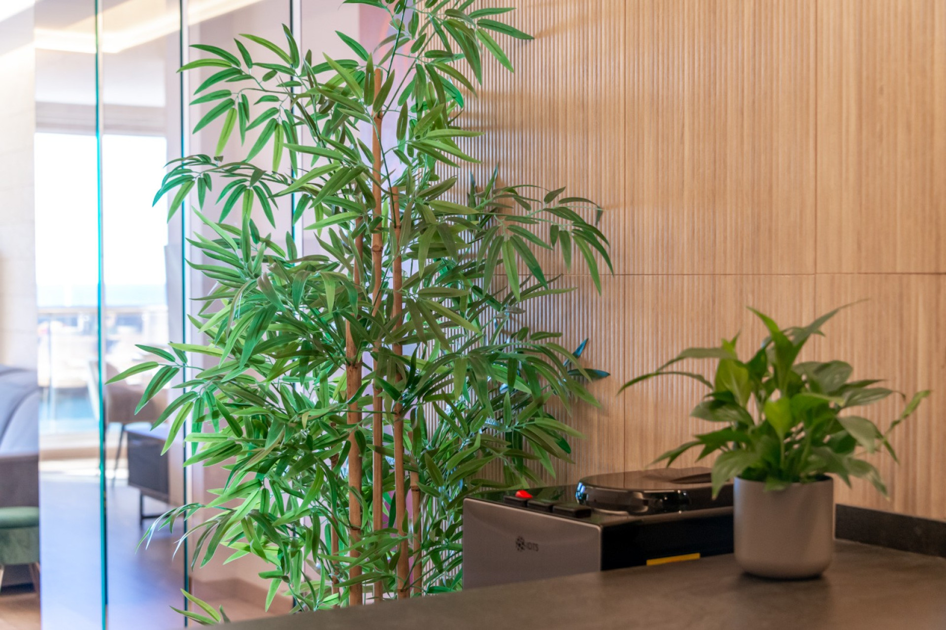 Reventa - 1. Apartamento / piso - Altea - Costa Blanca Sur