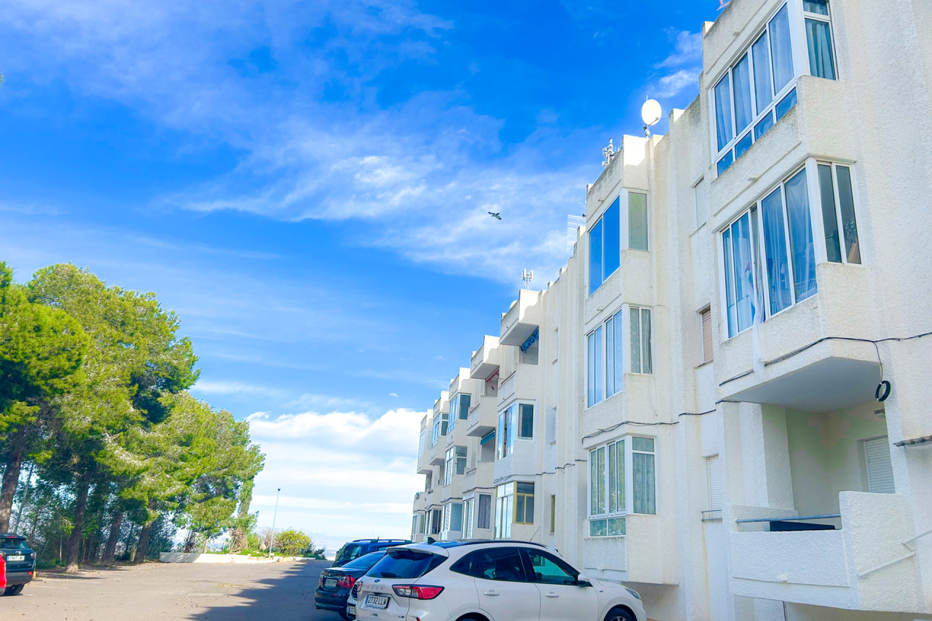 Reventa - 1. Apartamento / piso - Ciudad Quesada - Costa Blanca Sur