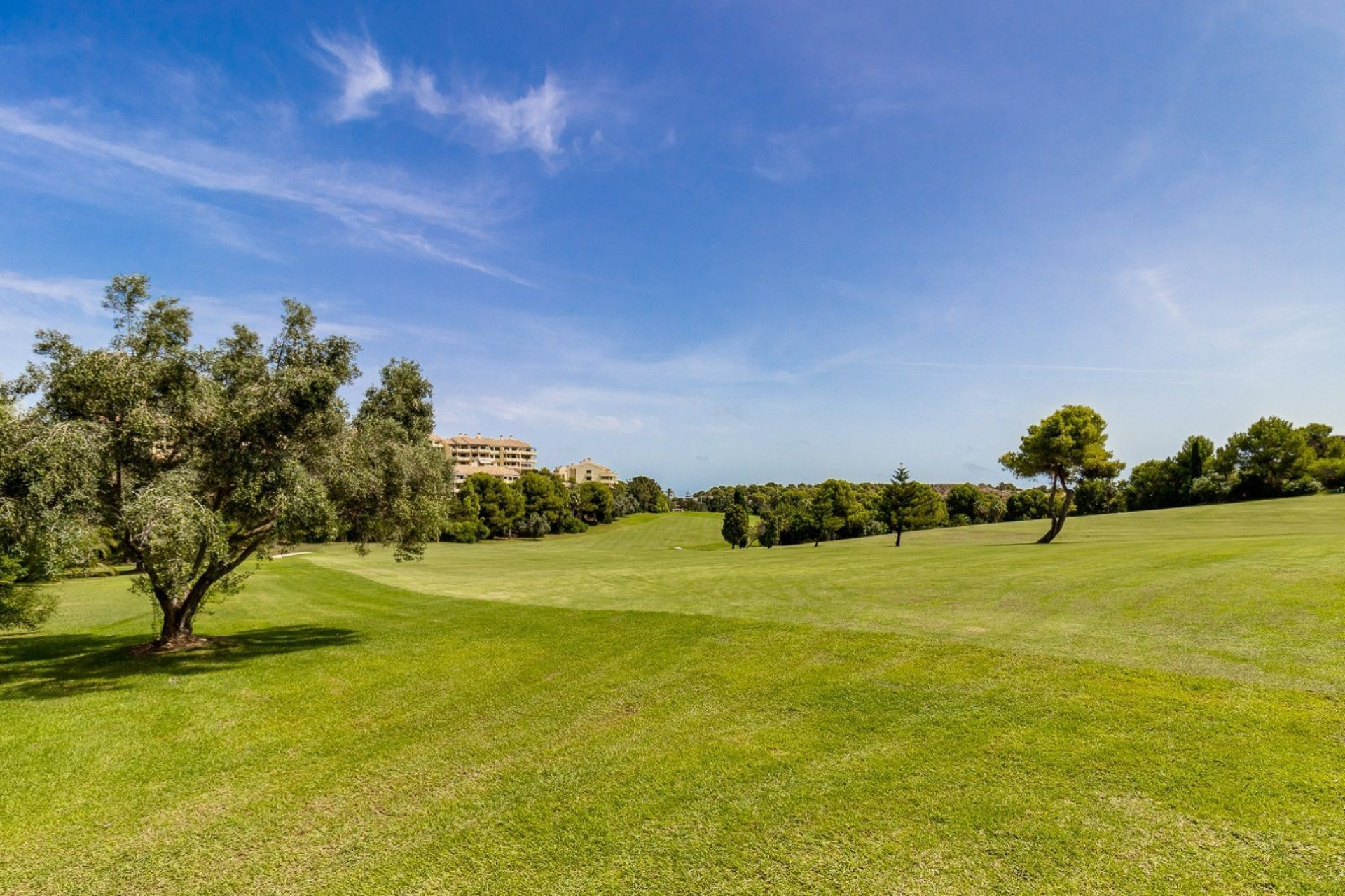 Reventa - 1. Apartamento / piso - Dehesa de Campoamor - Costa Blanca Sur