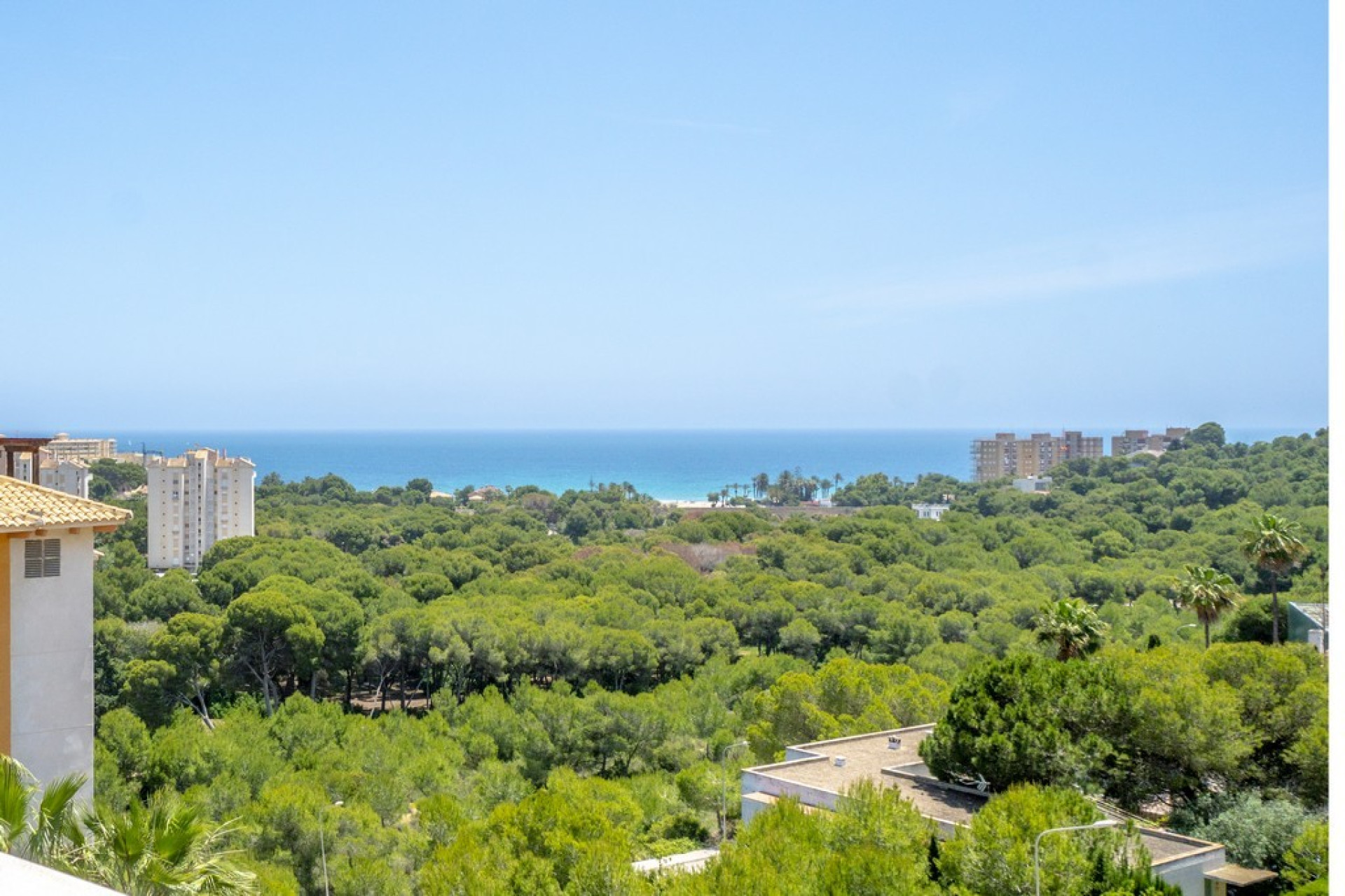 Reventa - 1. Apartamento / piso - Dehesa de Campoamor - Costa Blanca Sur