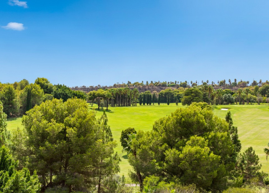 Reventa - 1. Apartamento / piso - Dehesa de Campoamor - Costa Blanca Sur