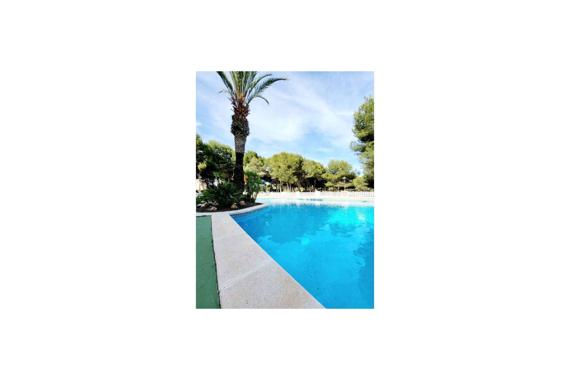 Reventa - 1. Apartamento / piso - Dehesa de Campoamor - Costa Blanca Sur