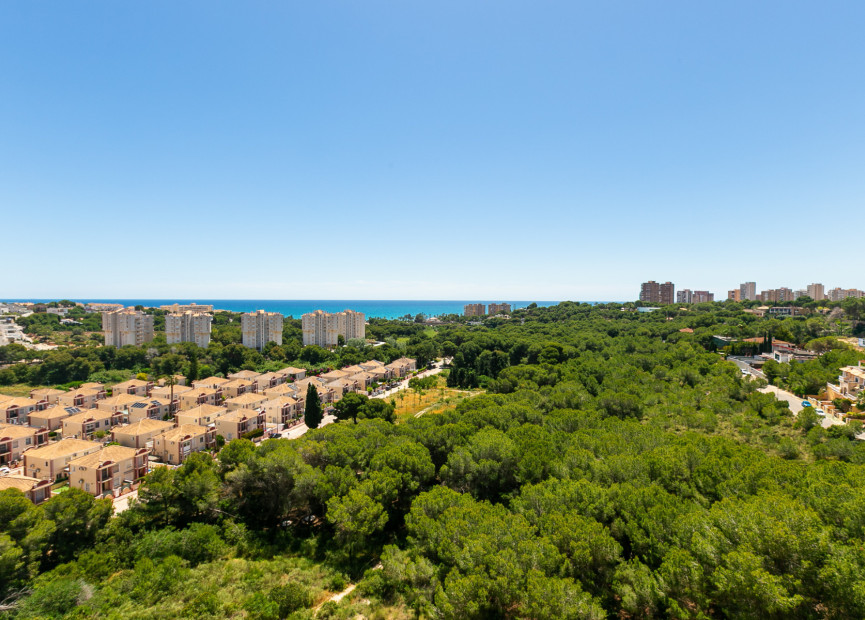 Reventa - 1. Apartamento / piso - Dehesa de Campoamor