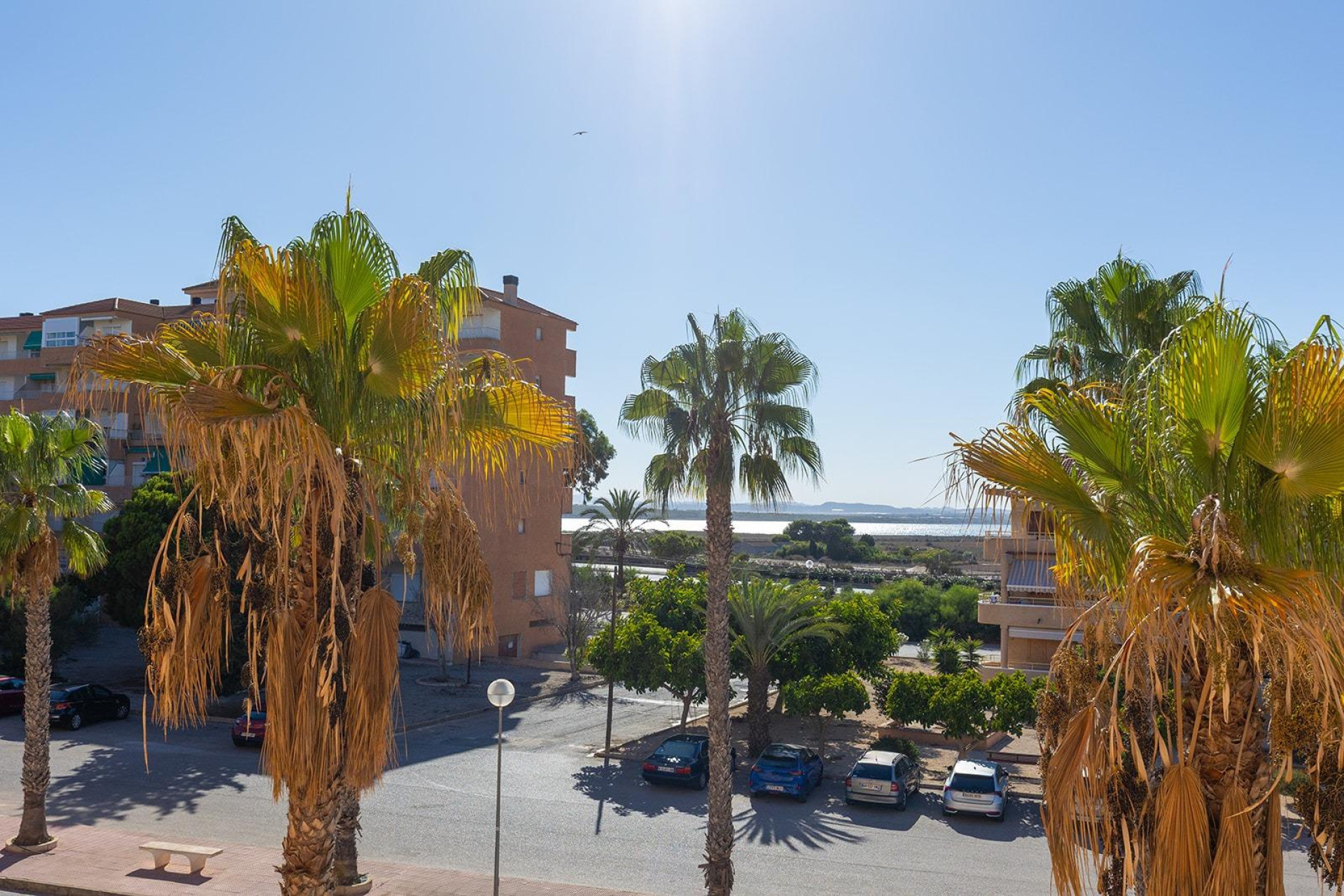 Reventa - 1. Apartamento / piso - Guardamar del Segura - Costa Blanca Sur