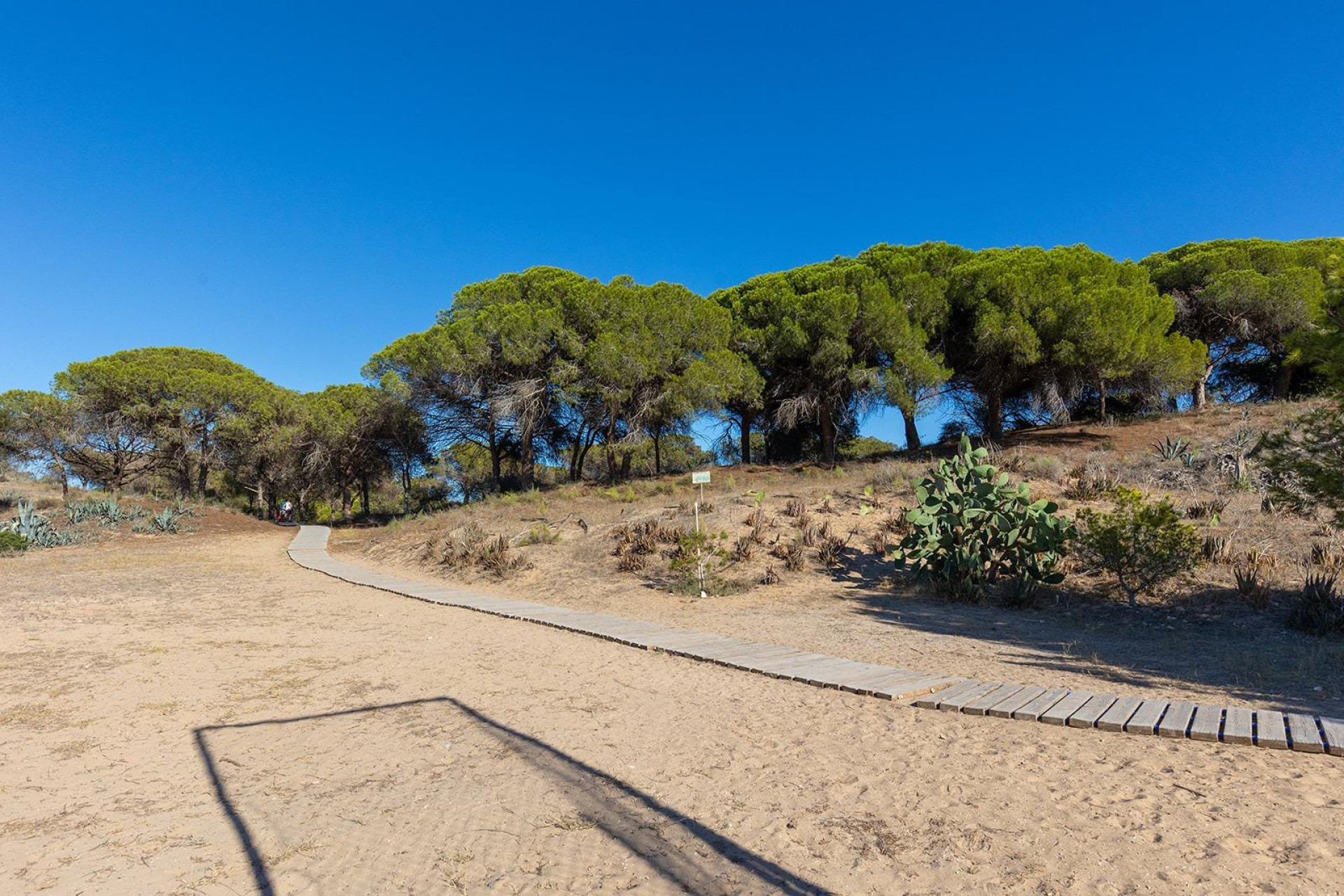 Reventa - 1. Apartamento / piso - Guardamar del Segura - Costa Blanca Sur