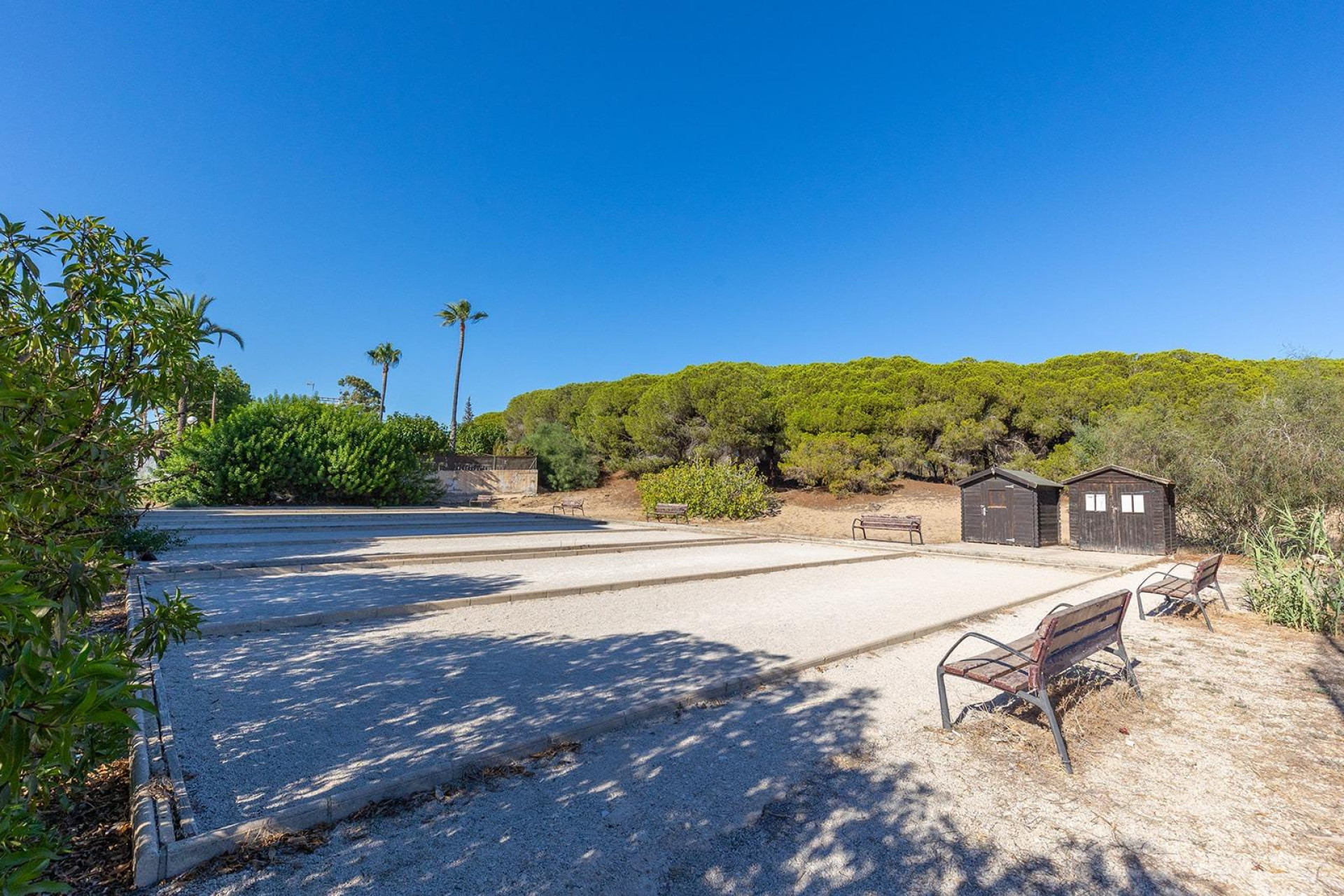 Reventa - 1. Apartamento / piso - Guardamar del Segura - Costa Blanca Sur