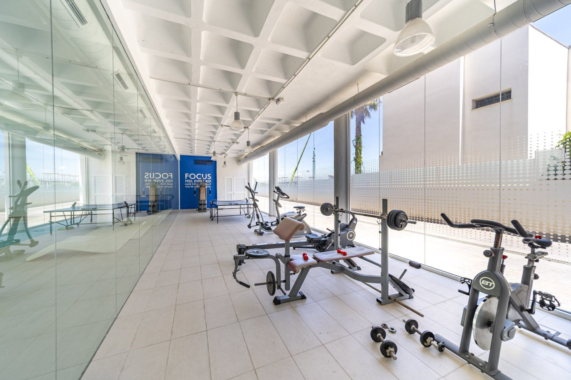 Reventa - 1. Apartamento / piso - Guardamar del Segura - Costa Blanca Sur