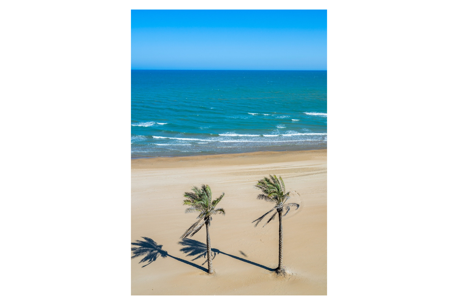 Reventa - 1. Apartamento / piso - Guardamar del Segura - Costa Blanca Sur