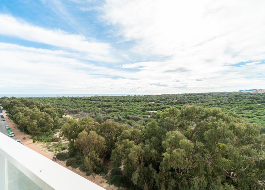 Reventa - 1. Apartamento / piso - Guardamar del Segura - Puerto Deportivo