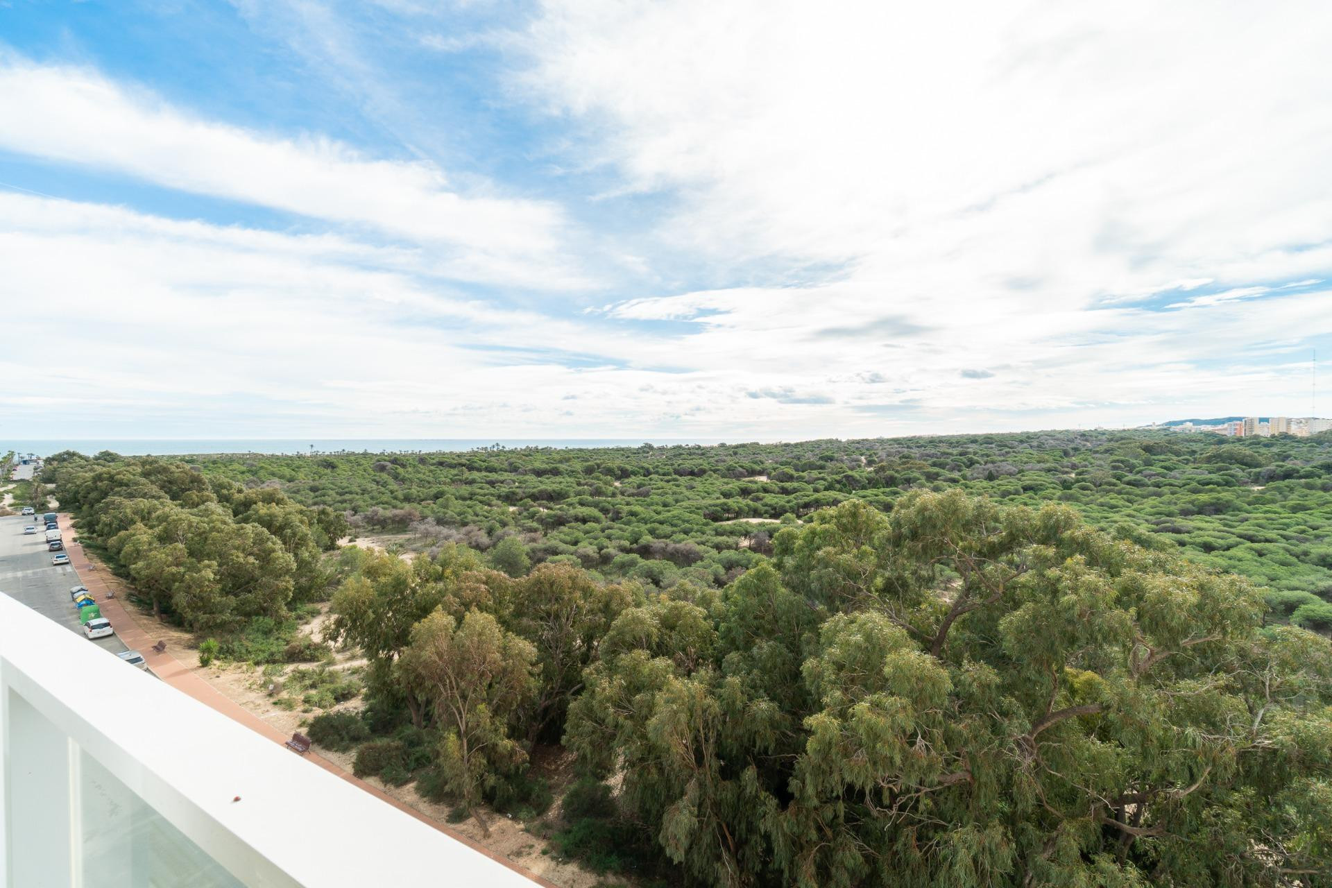 Reventa - 1. Apartamento / piso - Guardamar del Segura - Puerto Deportivo