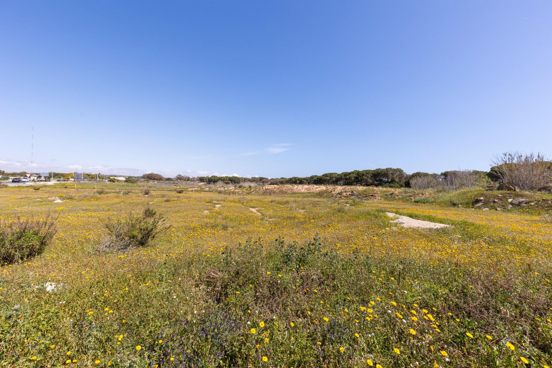 Reventa - 1. Apartamento / piso - Guardamar del Segura - Urbanizaciones