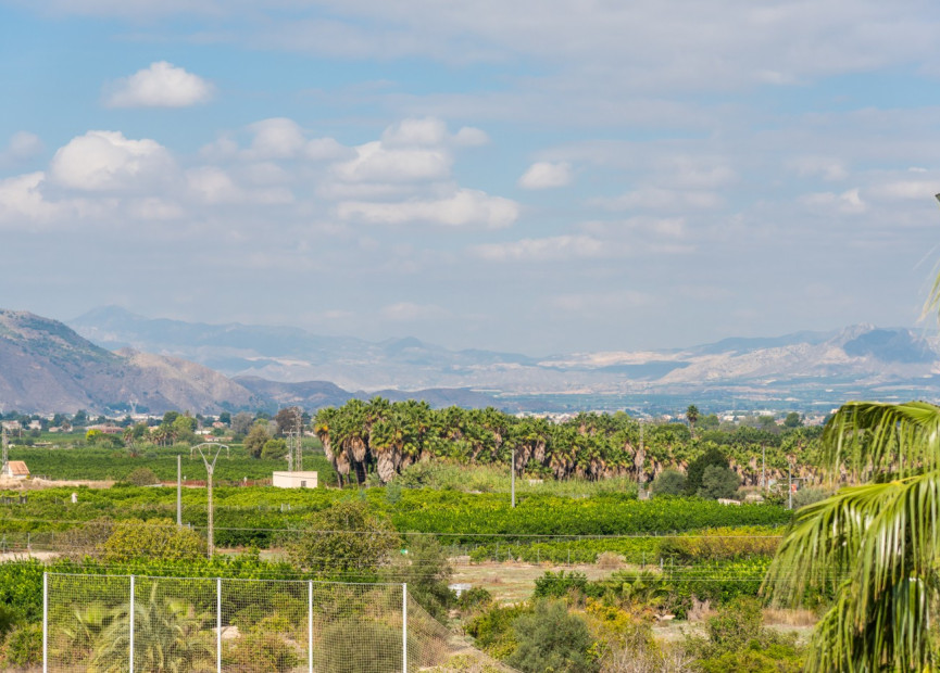 Reventa - 1. Apartamento / piso - Jacarilla - Costa Blanca Sur