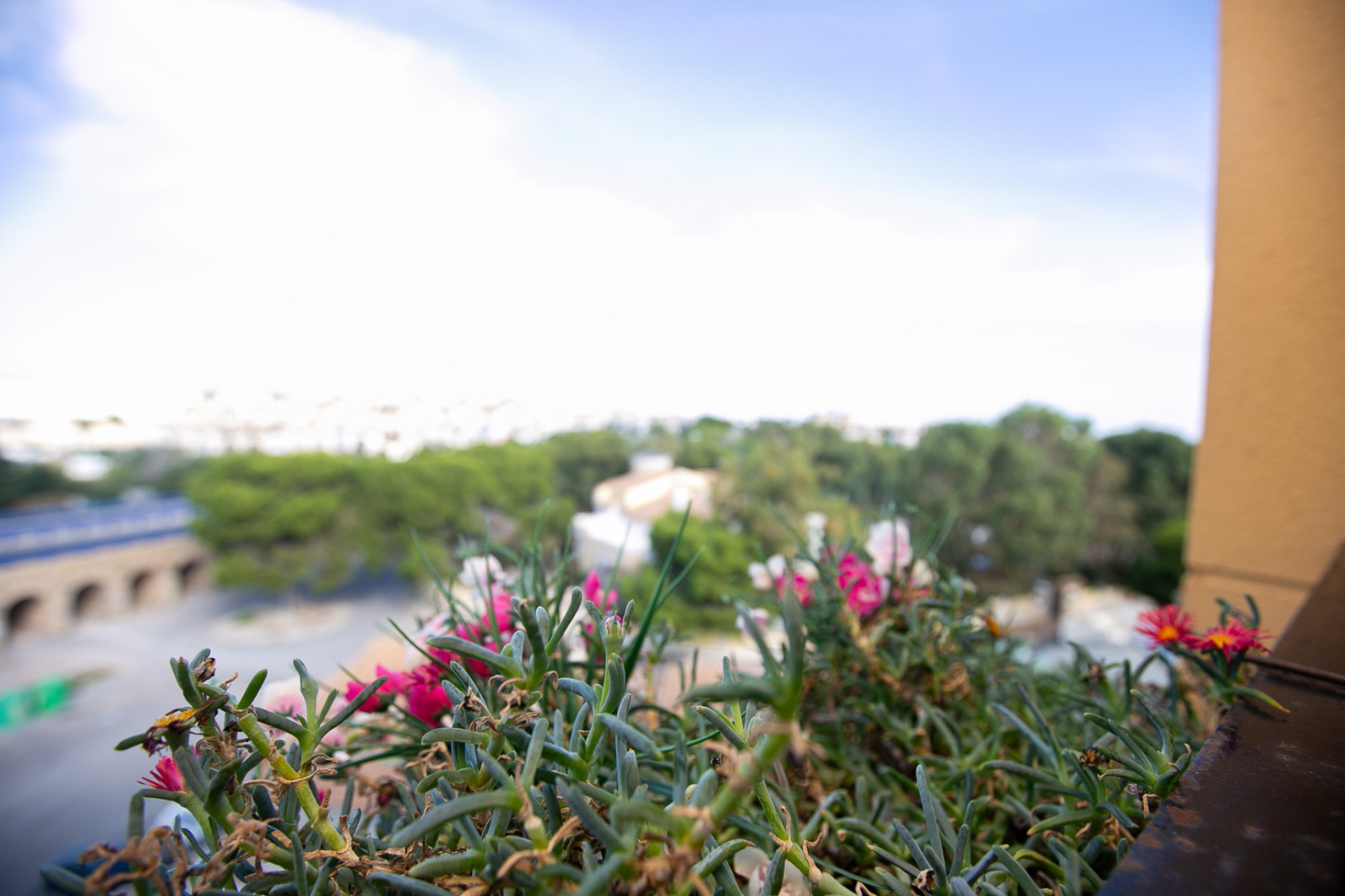 Reventa - 1. Apartamento / piso - La Zenia - Costa Blanca Sur