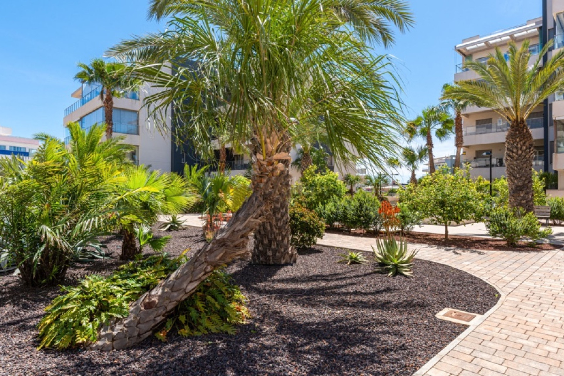 Reventa - 1. Apartamento / piso - Orihuela Costa - Costa Blanca Sur