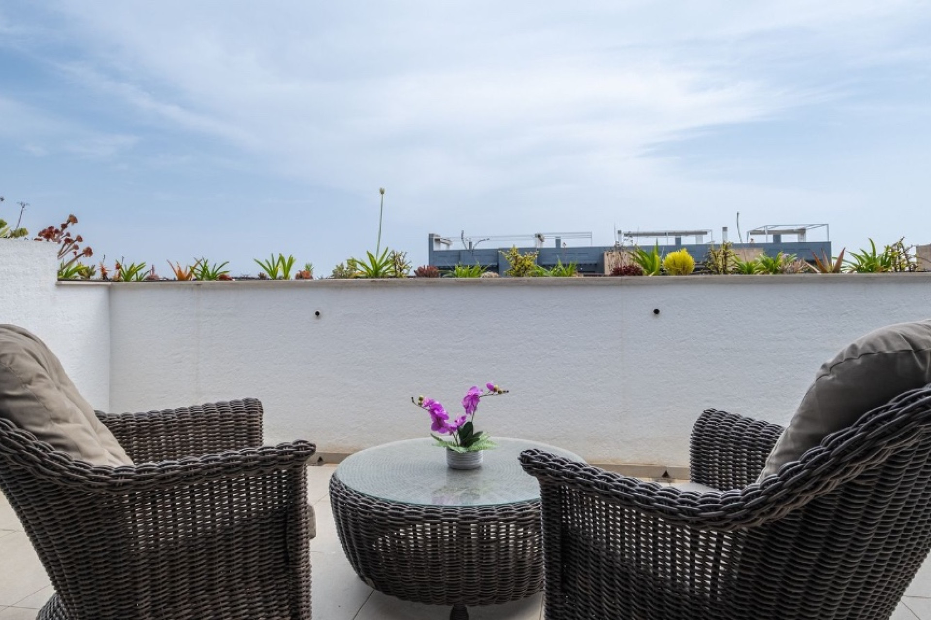 Reventa - 1. Apartamento / piso - Orihuela Costa - Costa Blanca Sur