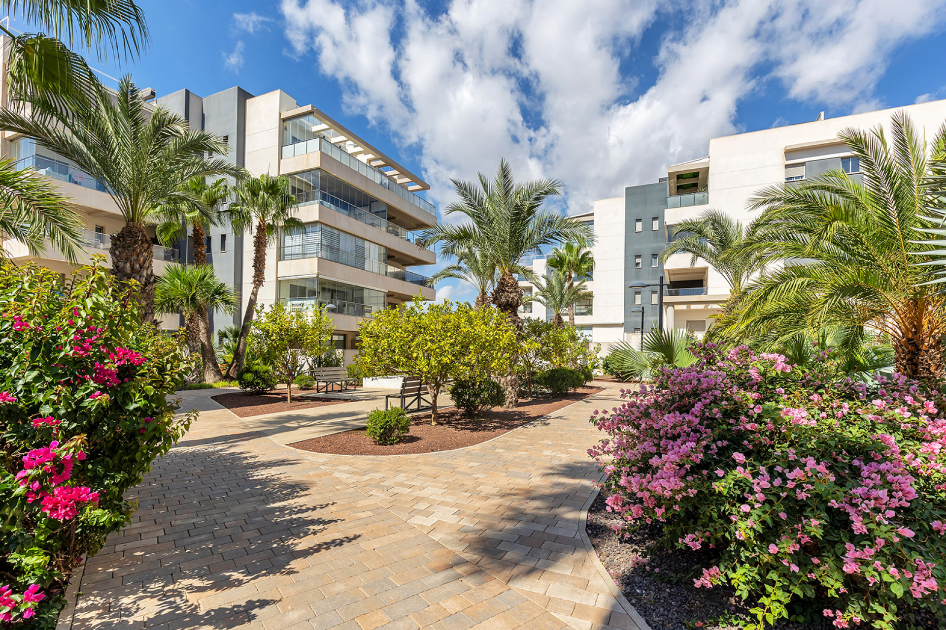 Reventa - 1. Apartamento / piso - Orihuela Costa - Costa Blanca Sur