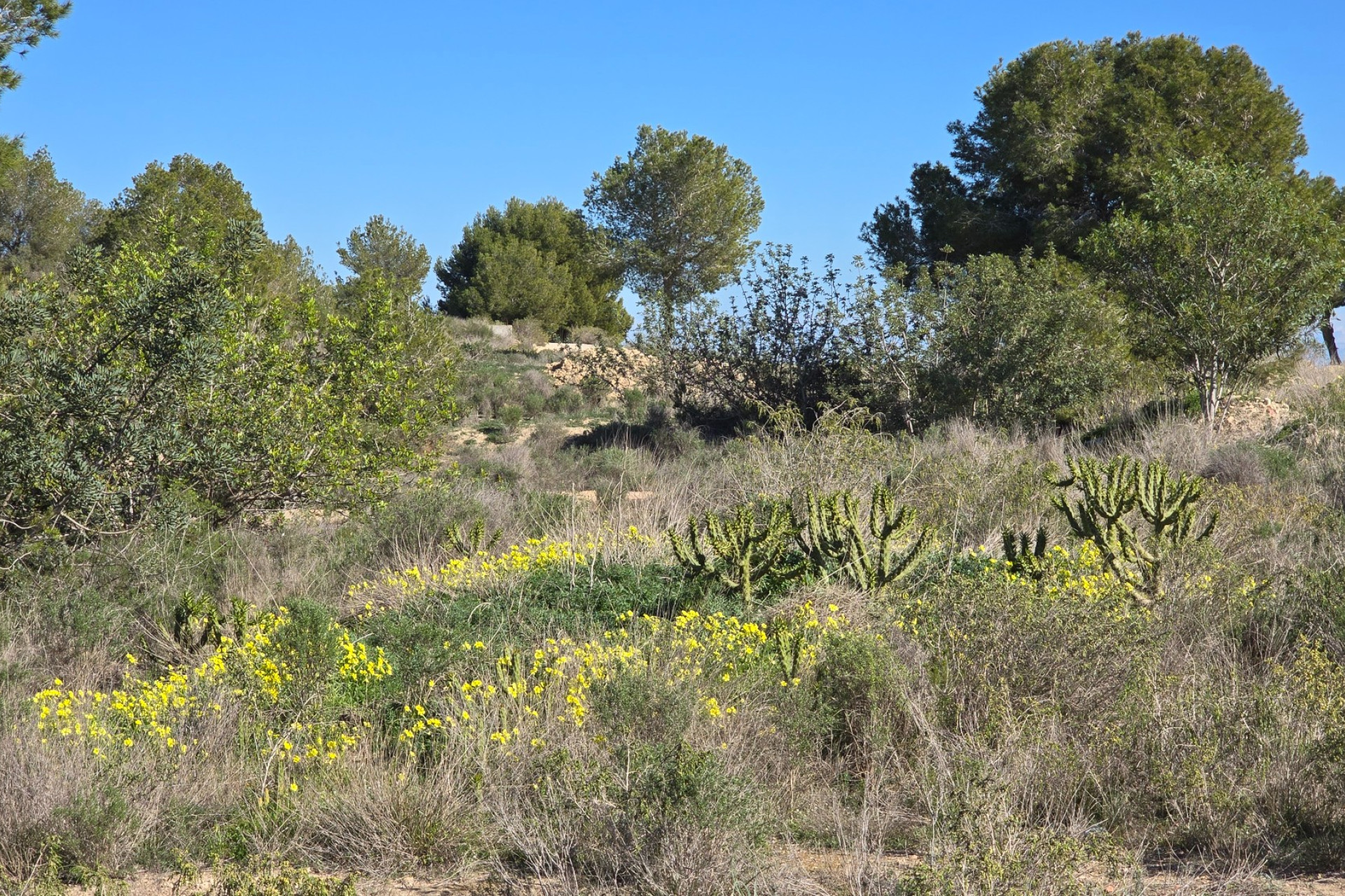 Reventa - 1. Apartamento / piso - Orihuela Costa - Costa Blanca Sur