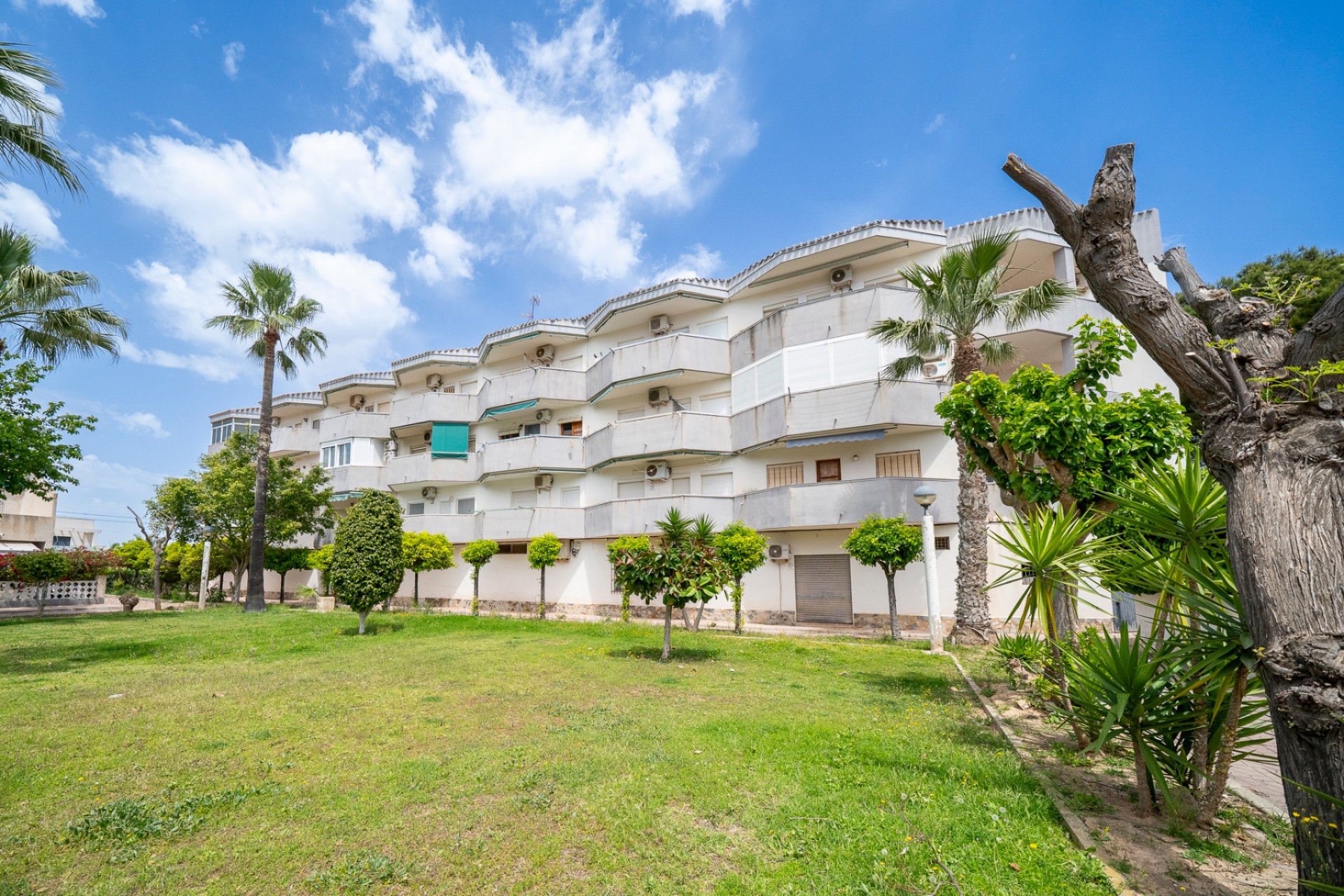 Reventa - 1. Apartamento / piso - Orihuela Costa - Costa Blanca Sur