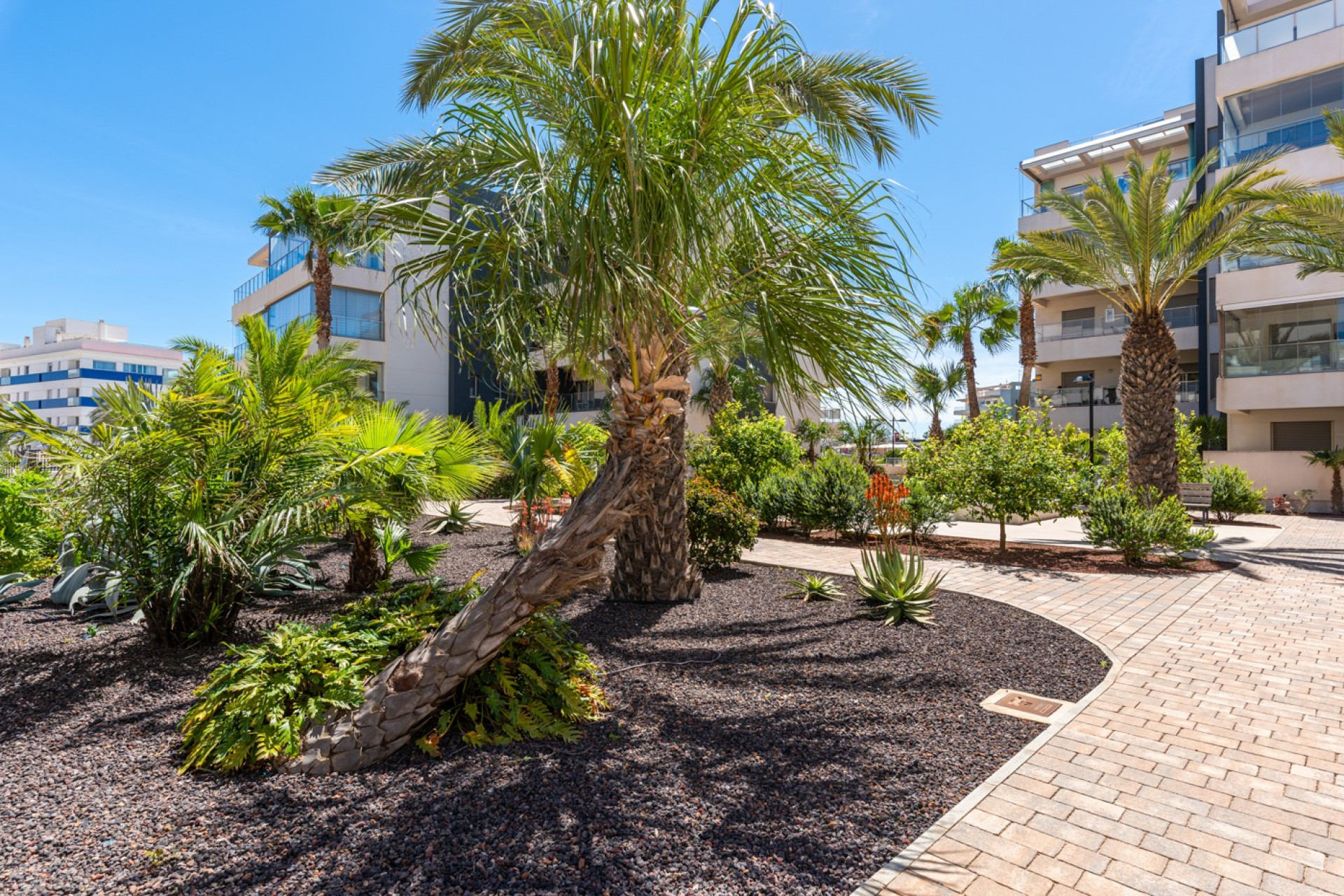 Reventa - 1. Apartamento / piso - Orihuela Costa - Costa Blanca Sur