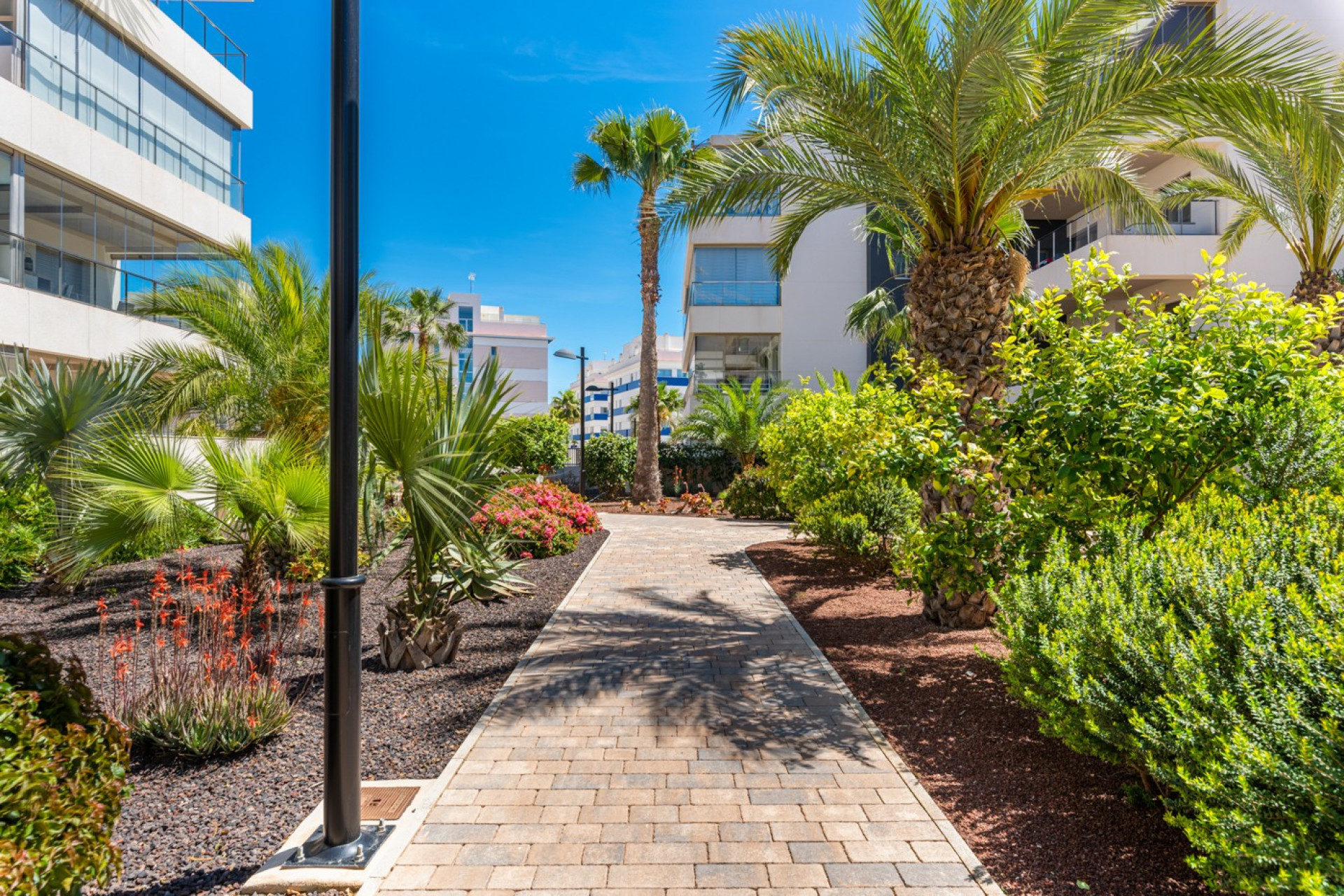 Reventa - 1. Apartamento / piso - Orihuela Costa - Costa Blanca Sur