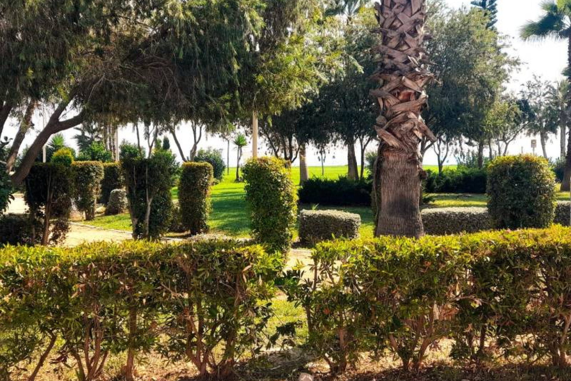 Reventa - 1. Apartamento / piso - Oropesa del Mar - Orpesa - Valencia