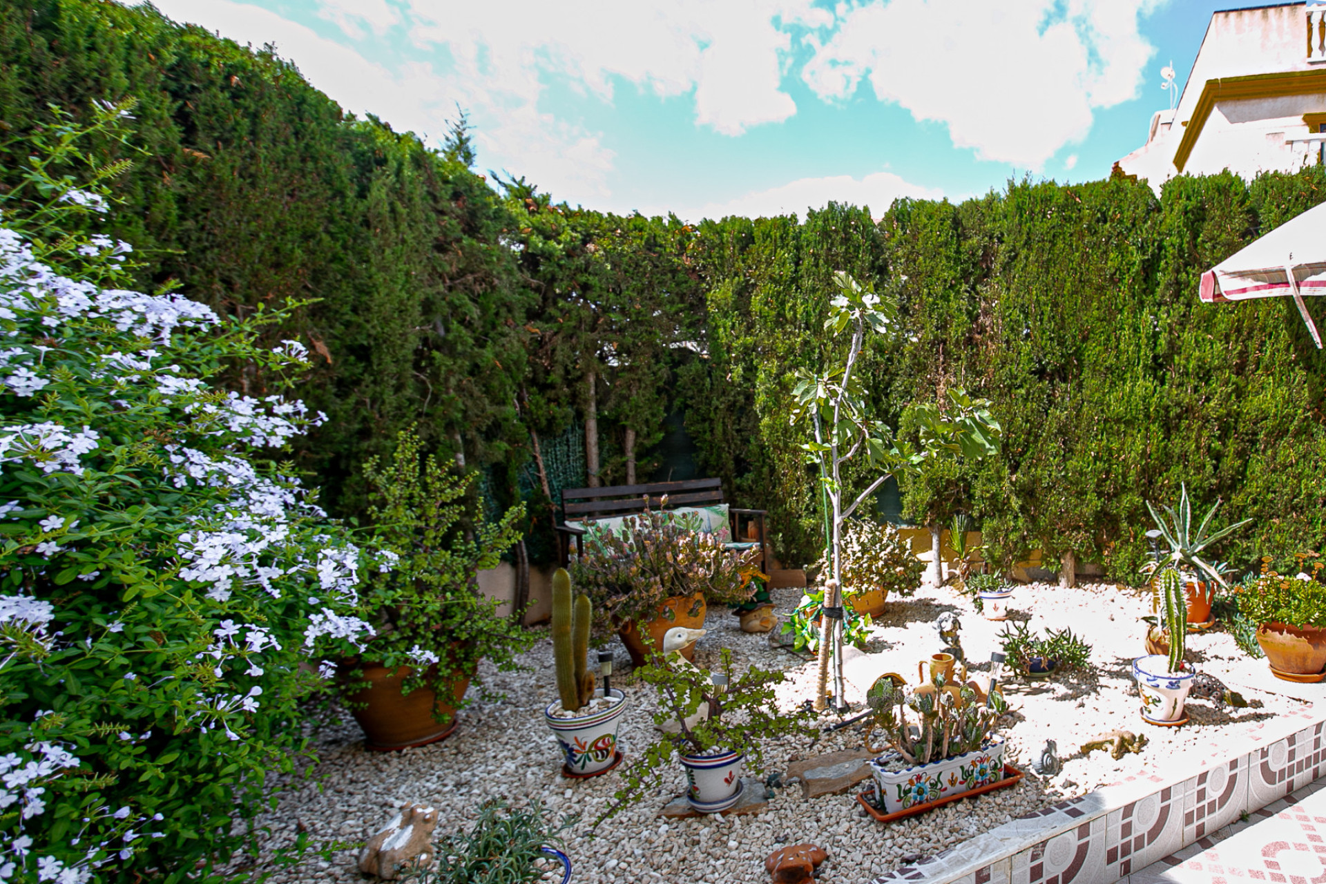 Reventa - 1. Apartamento / piso - Playa Flamenca - Costa Blanca Sur