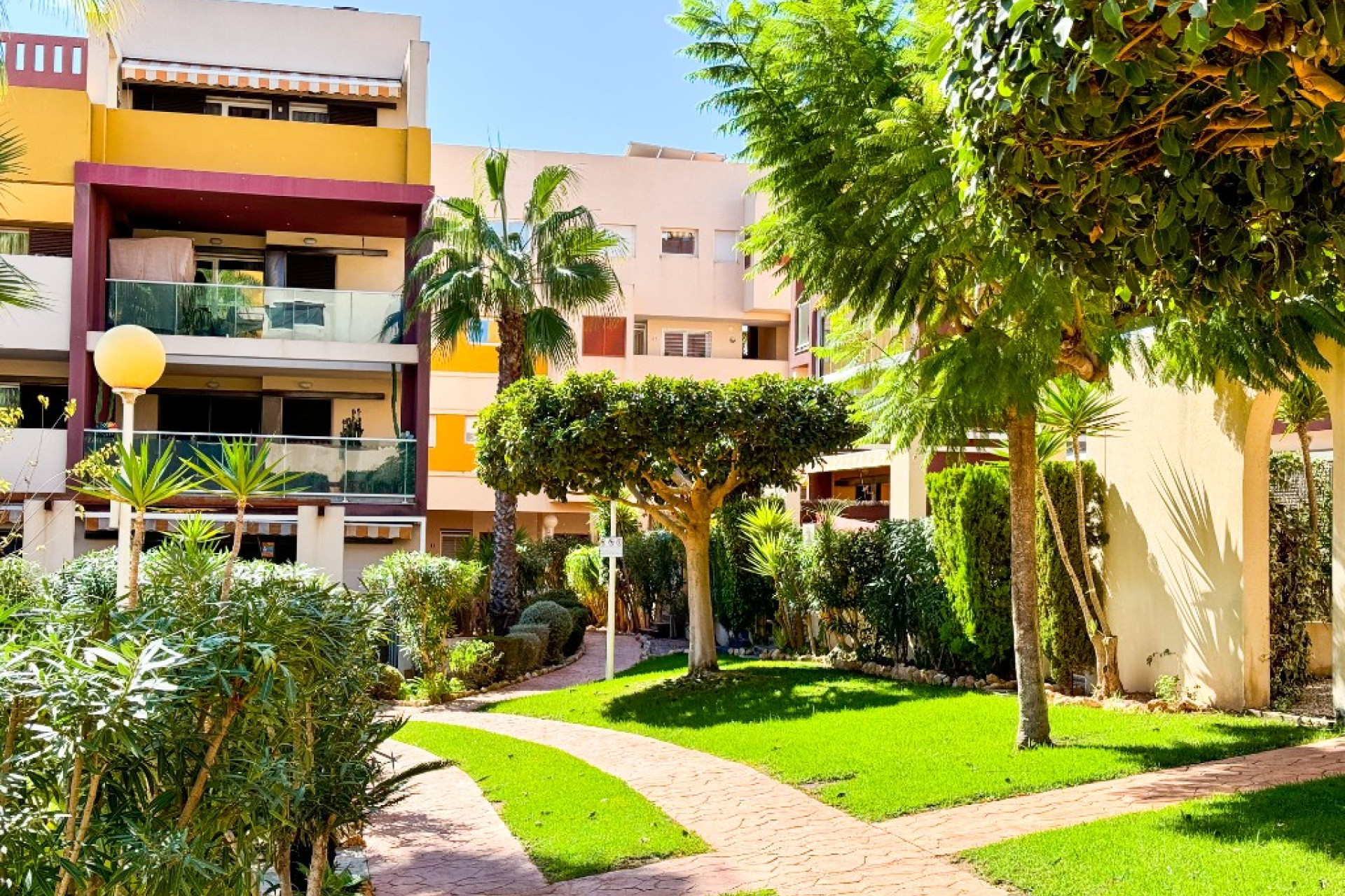 Reventa - 1. Apartamento / piso - Playa Flamenca - Costa Blanca Sur
