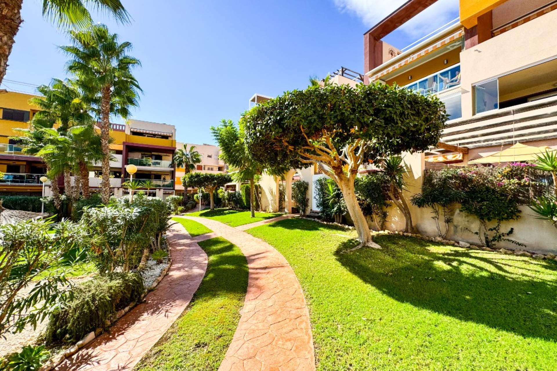 Reventa - 1. Apartamento / piso - Playa Flamenca - Costa Blanca Sur