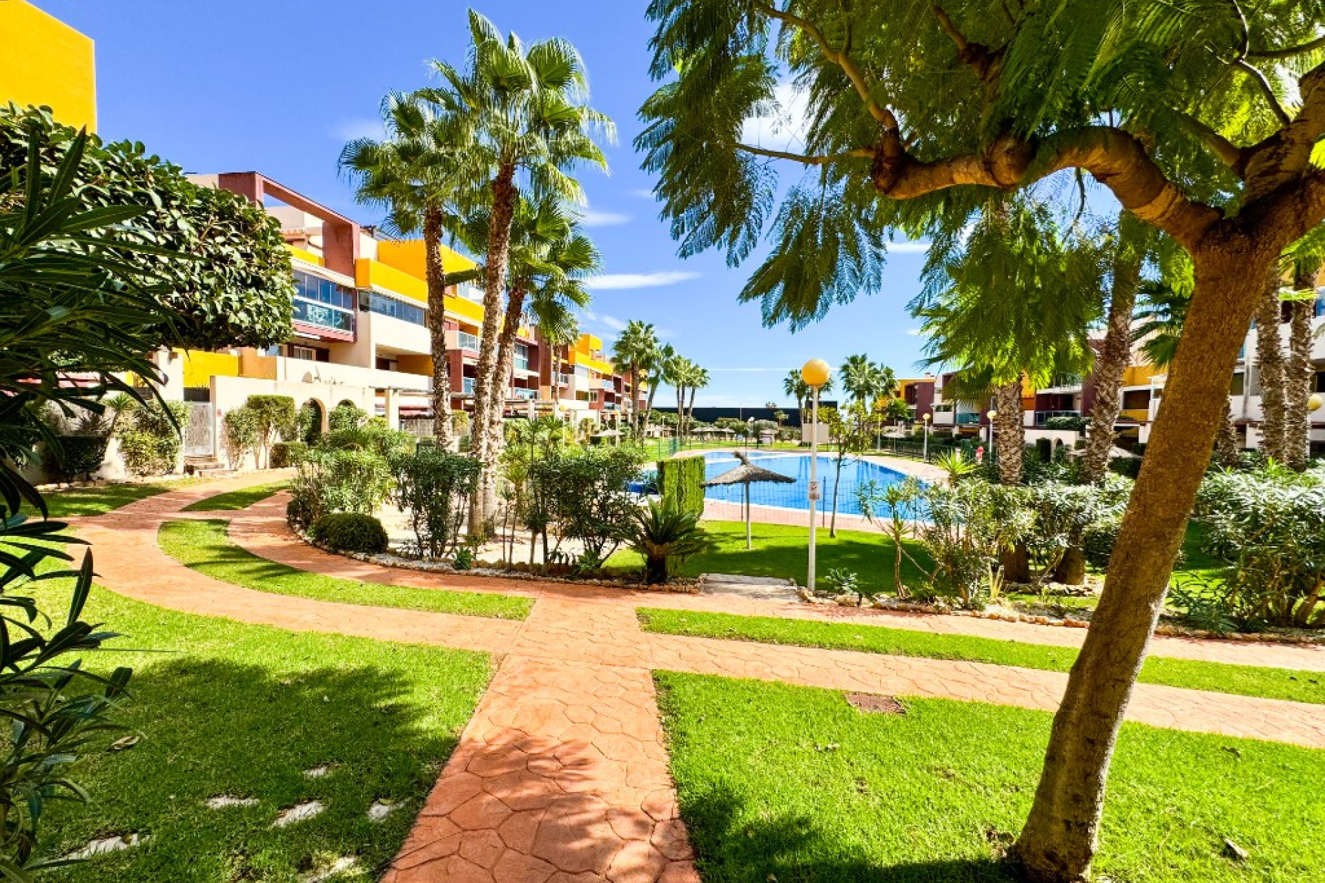 Reventa - 1. Apartamento / piso - Playa Flamenca - Costa Blanca Sur