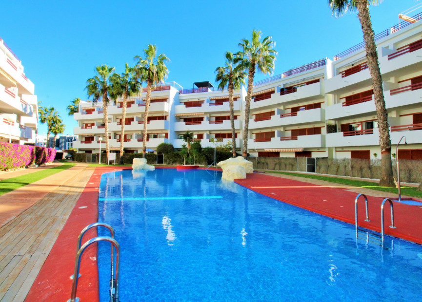 Reventa - 1. Apartamento / piso - Playa Flamenca - Costa Blanca Sur