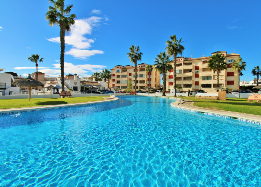 Reventa - 1. Apartamento / piso - Playa Flamenca - Costa Blanca Sur