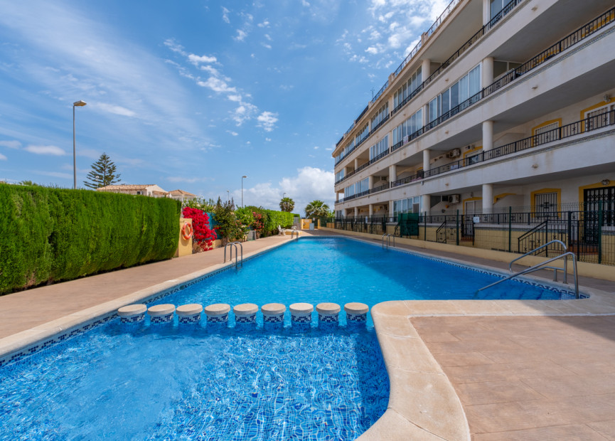 Reventa - 1. Apartamento / piso - Playa Flamenca - Costa Blanca Sur