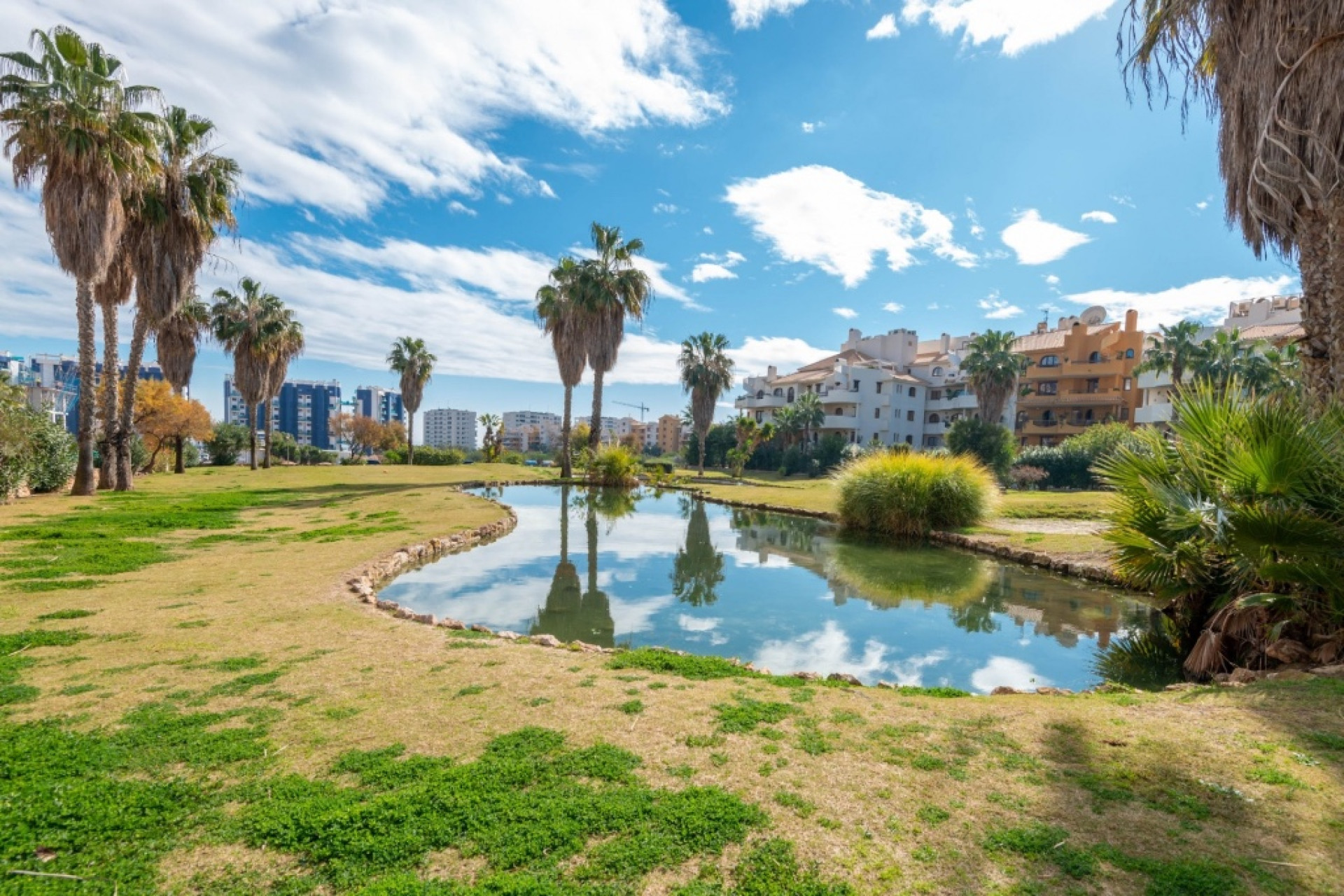 Reventa - 1. Apartamento / piso - Punta Prima - Costa Blanca Sur