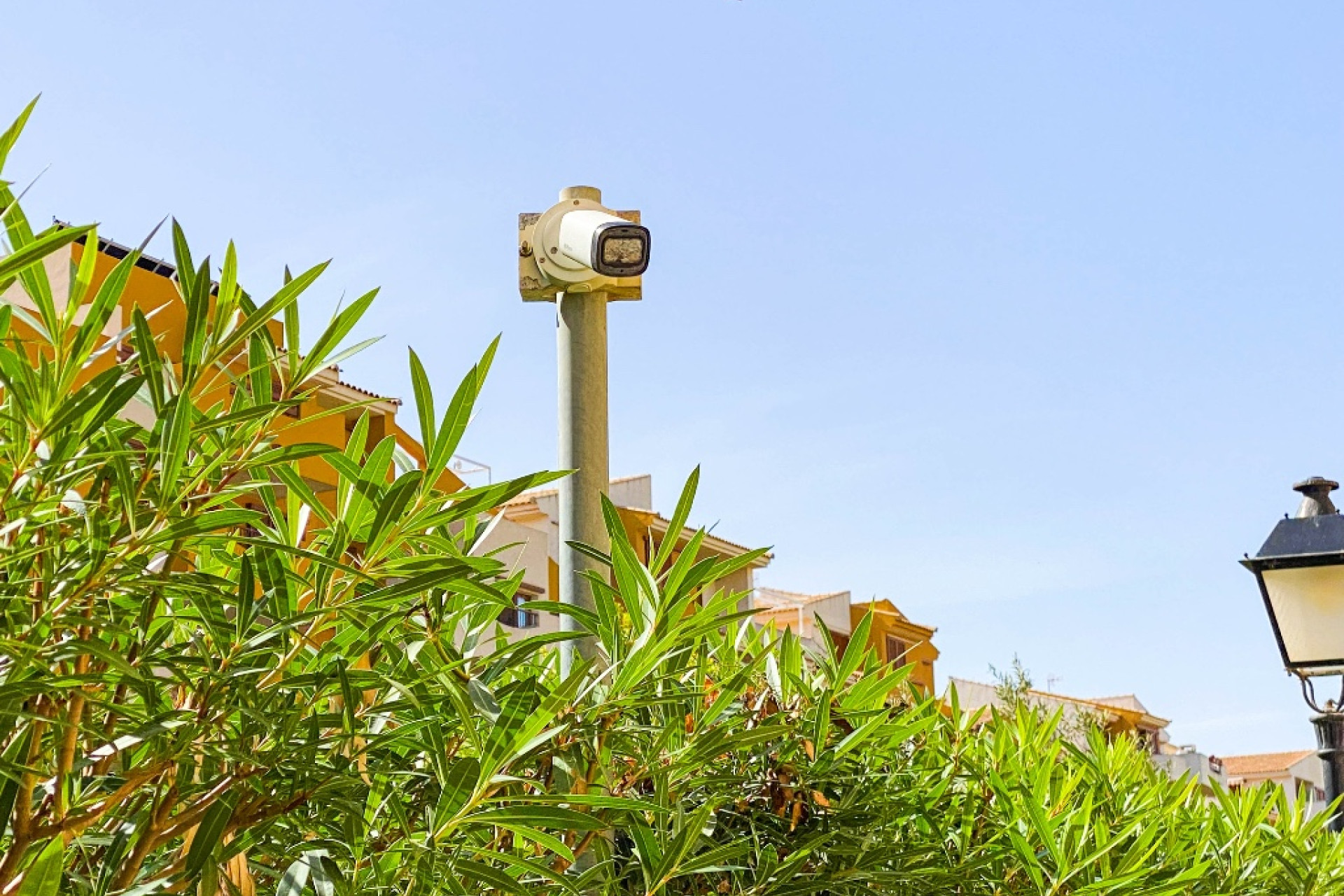 Reventa - 1. Apartamento / piso - Punta Prima - Costa Blanca Sur