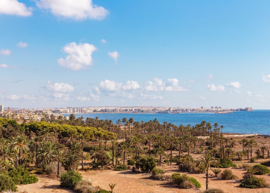 Reventa - 1. Apartamento / piso - Punta Prima - Costa Blanca Sur